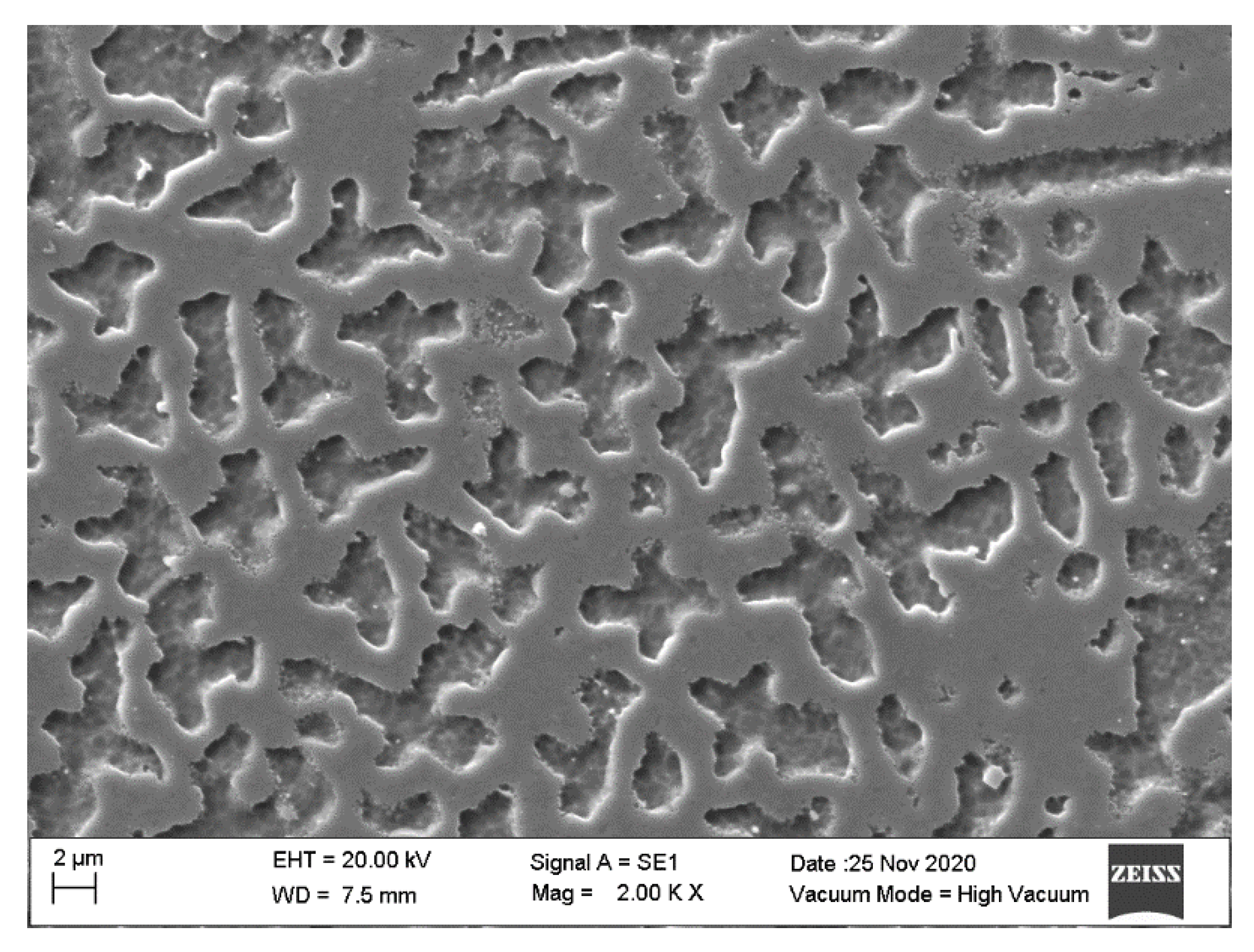 Materials 14 00512 g006