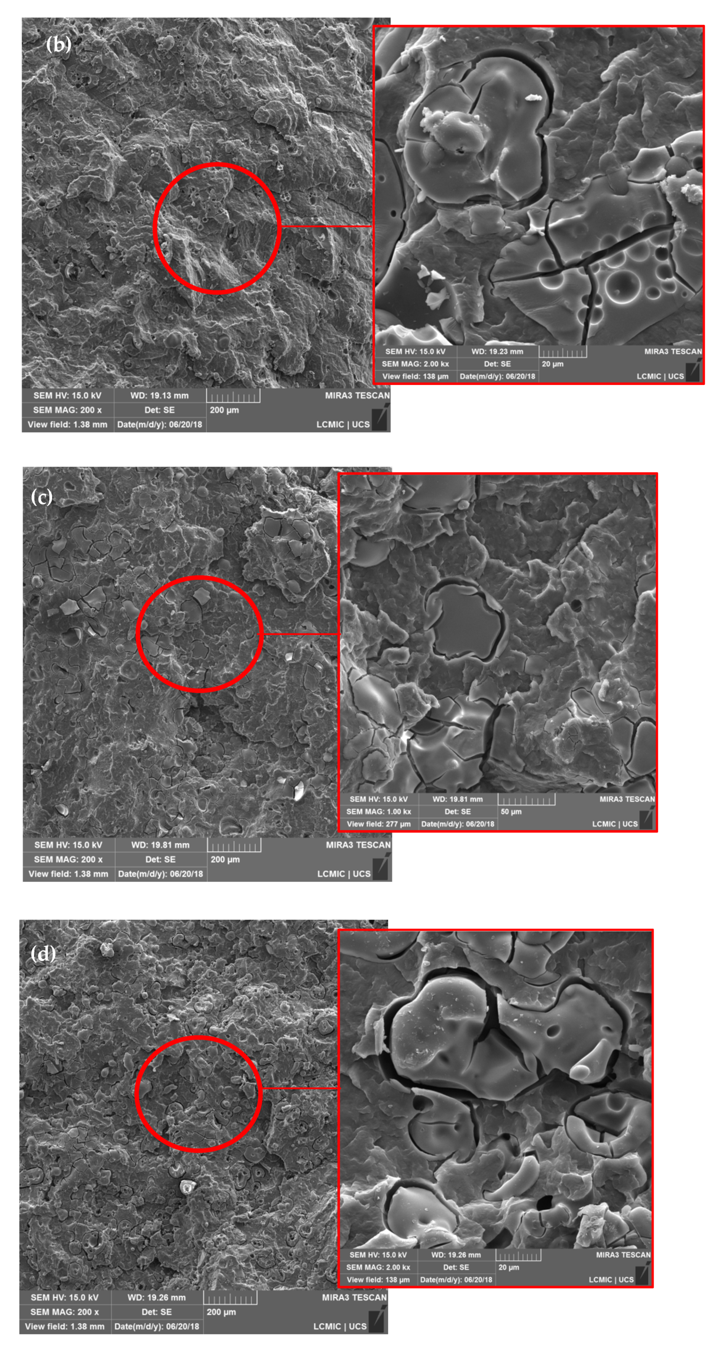 Materials 14 00543 g001b