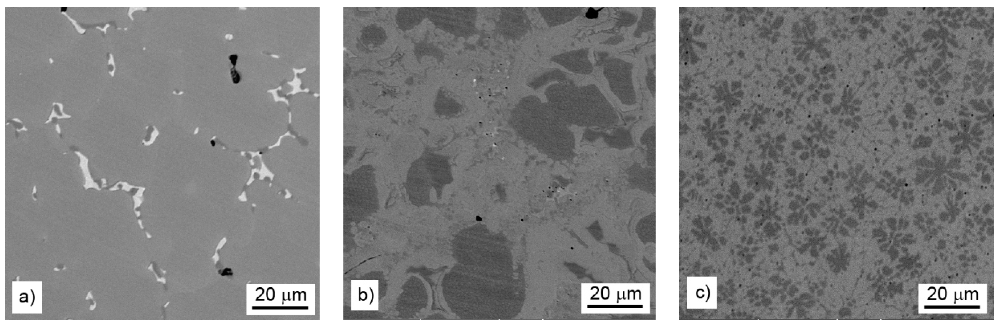 Materials 14 00561 g001