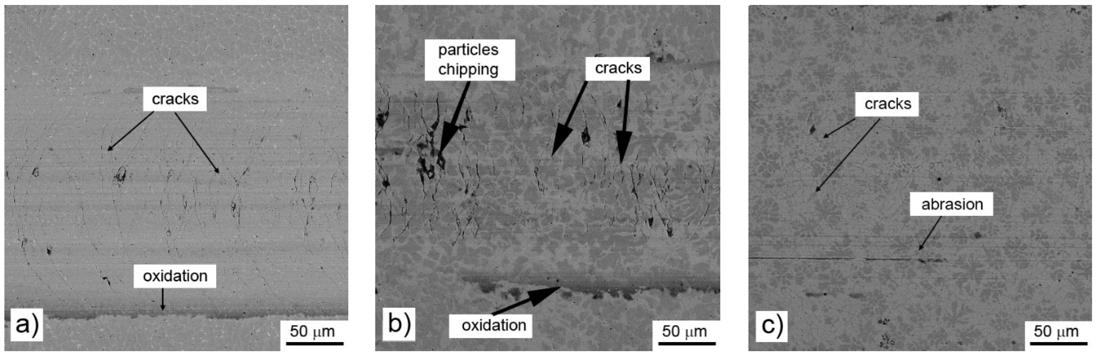Materials 14 00561 g009