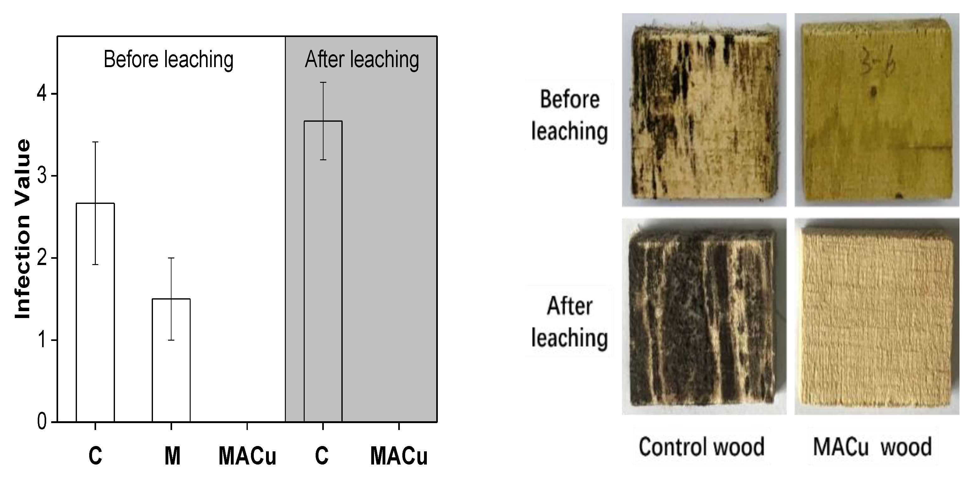 Materials 14 00577 g001