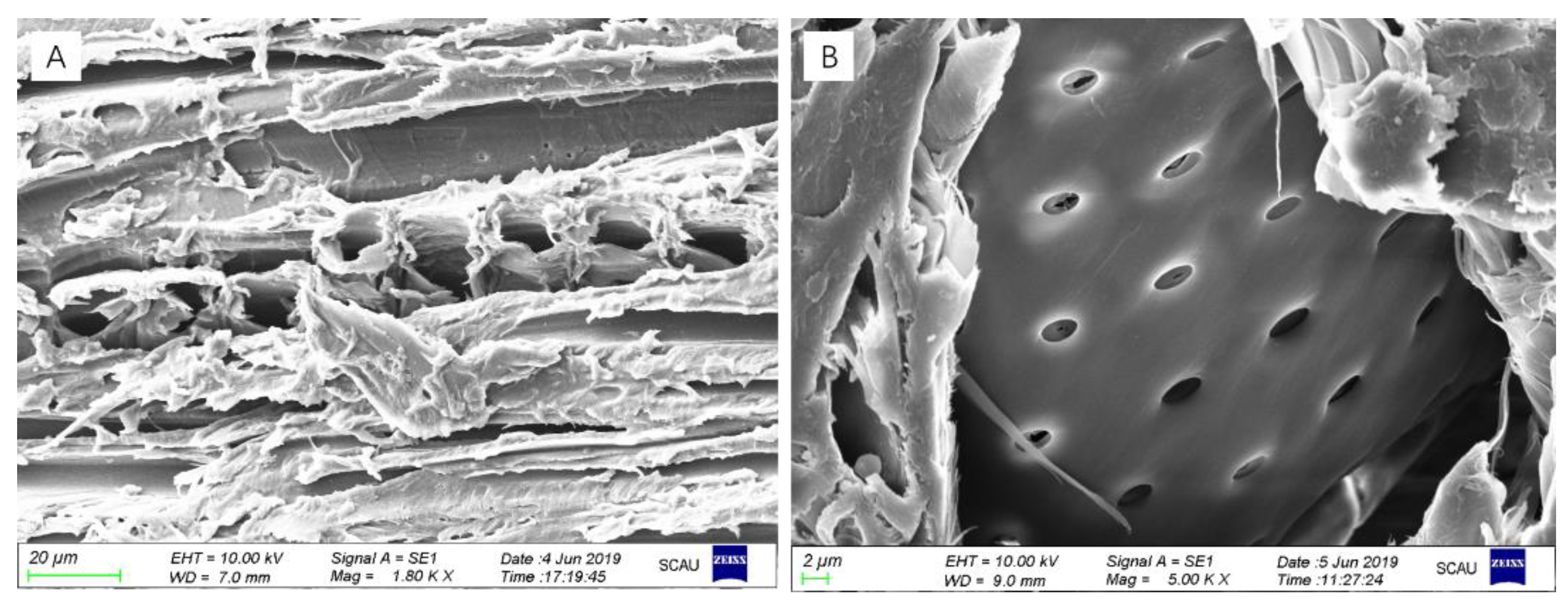Materials 14 00577 g003