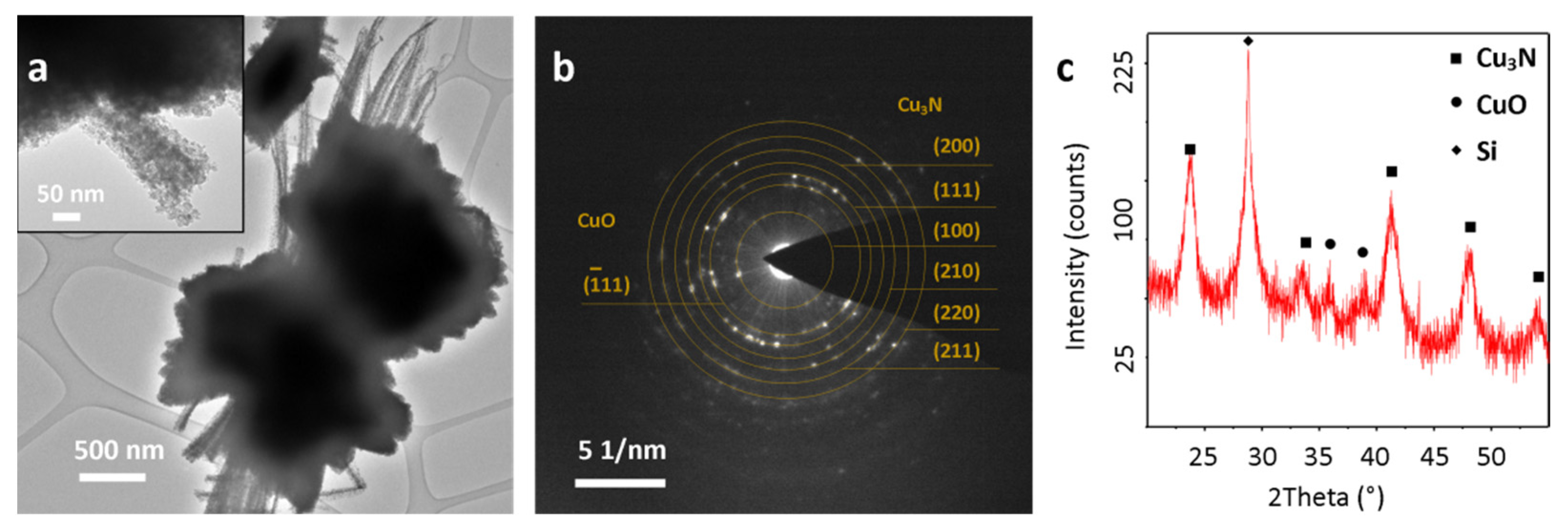 Materials 14 00603 g004