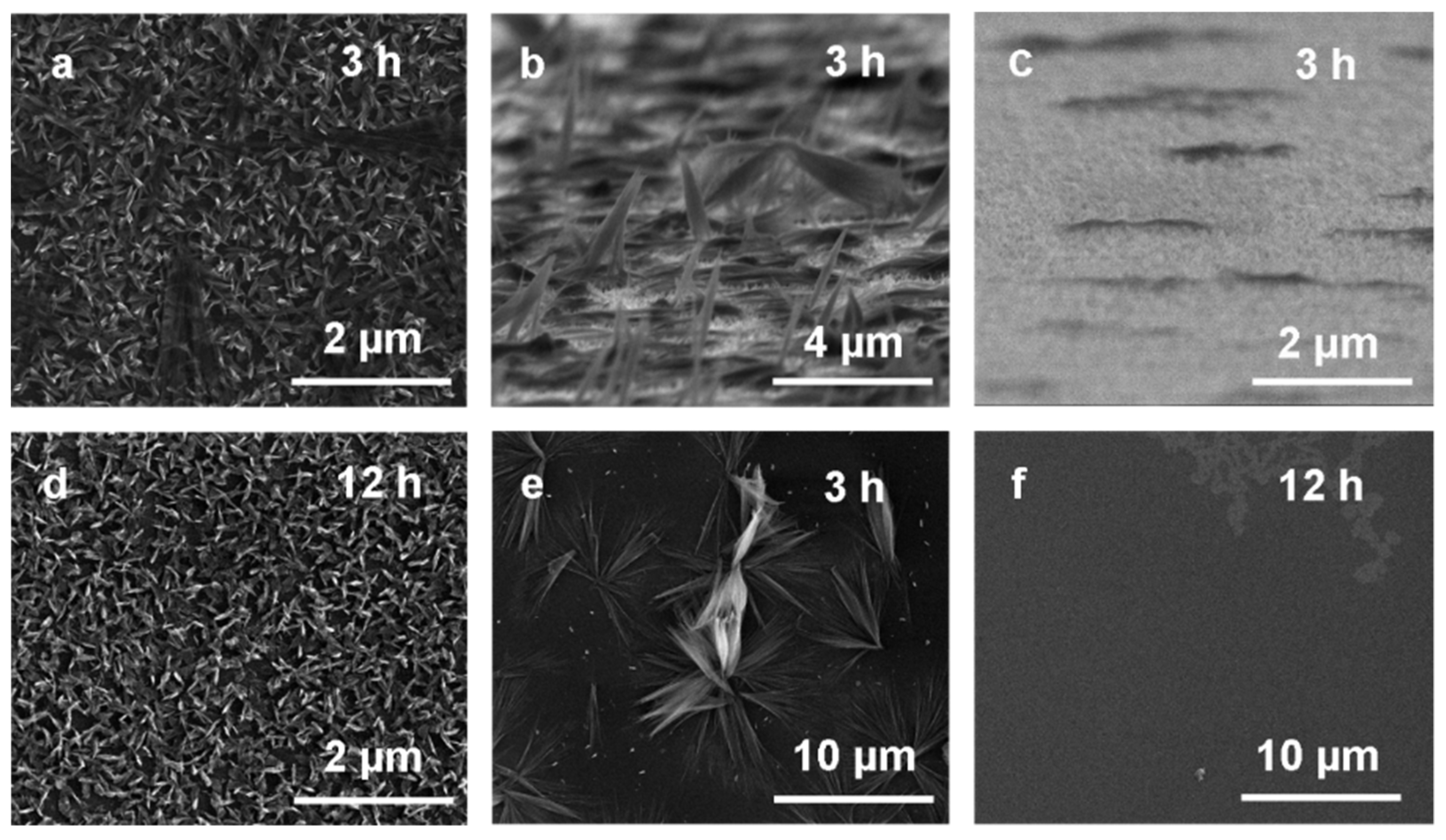 Materials 14 00603 g005