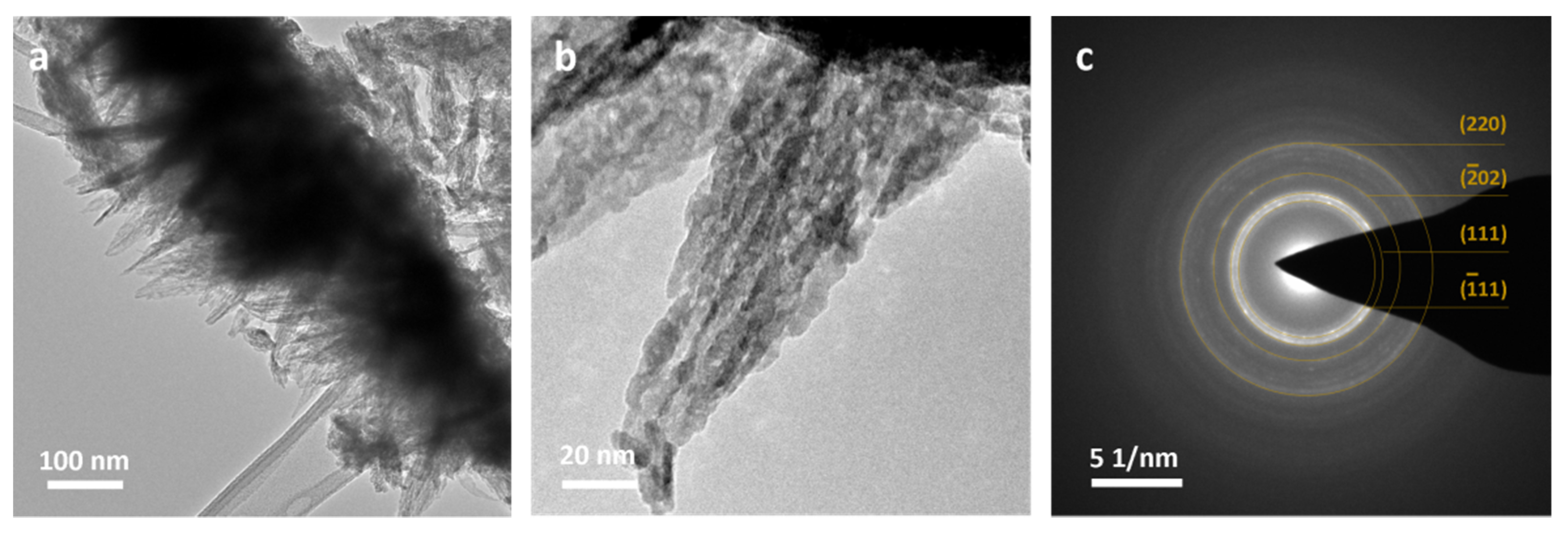 Materials 14 00603 g006