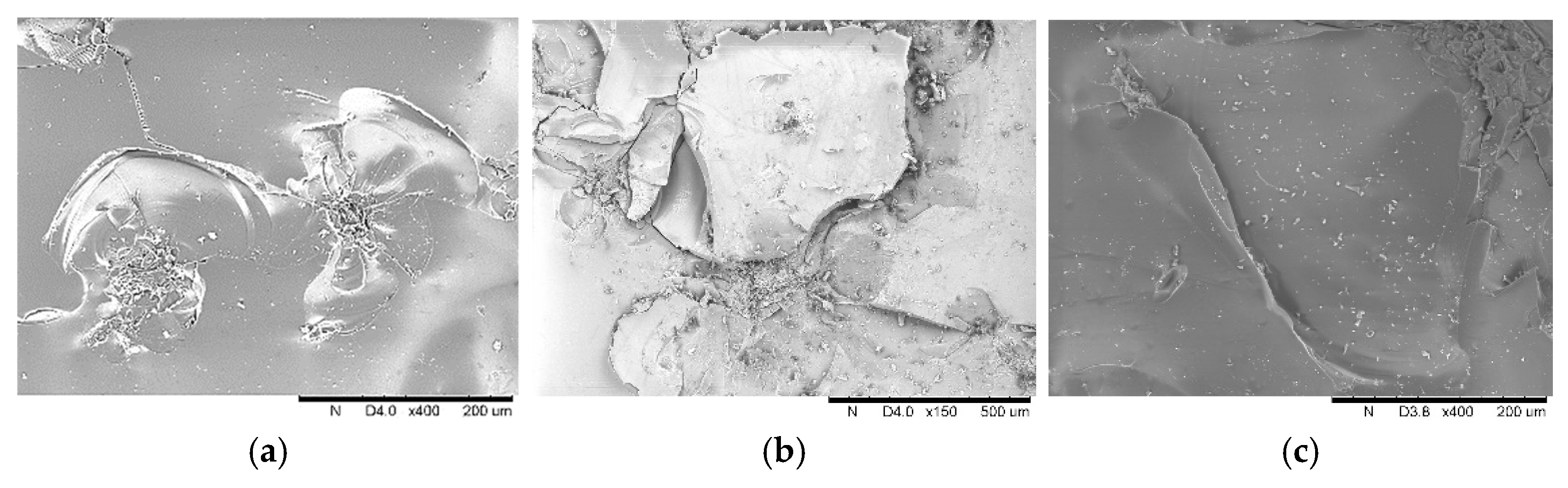 Materials 14 00607 g004