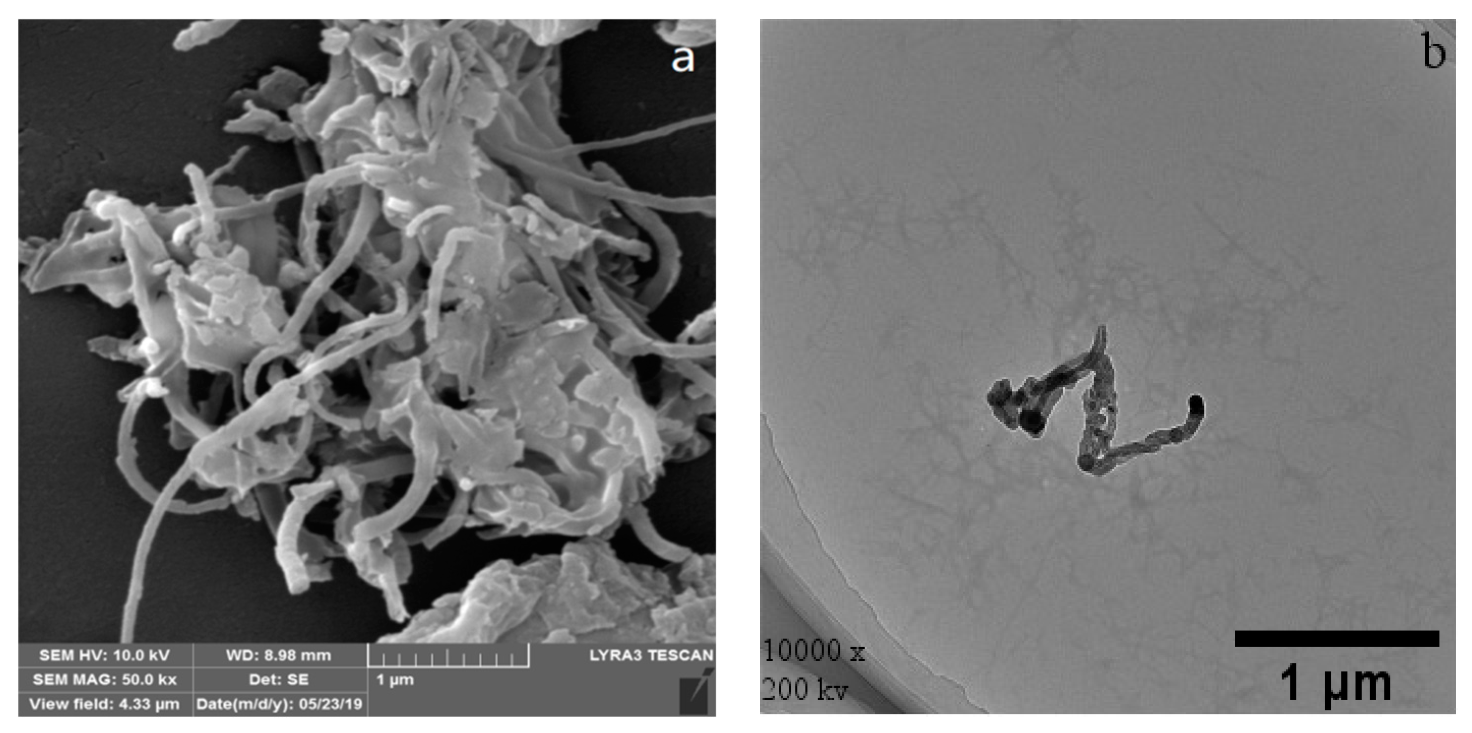 Materials 14 00608 g004a Materials 14 00608 g004a