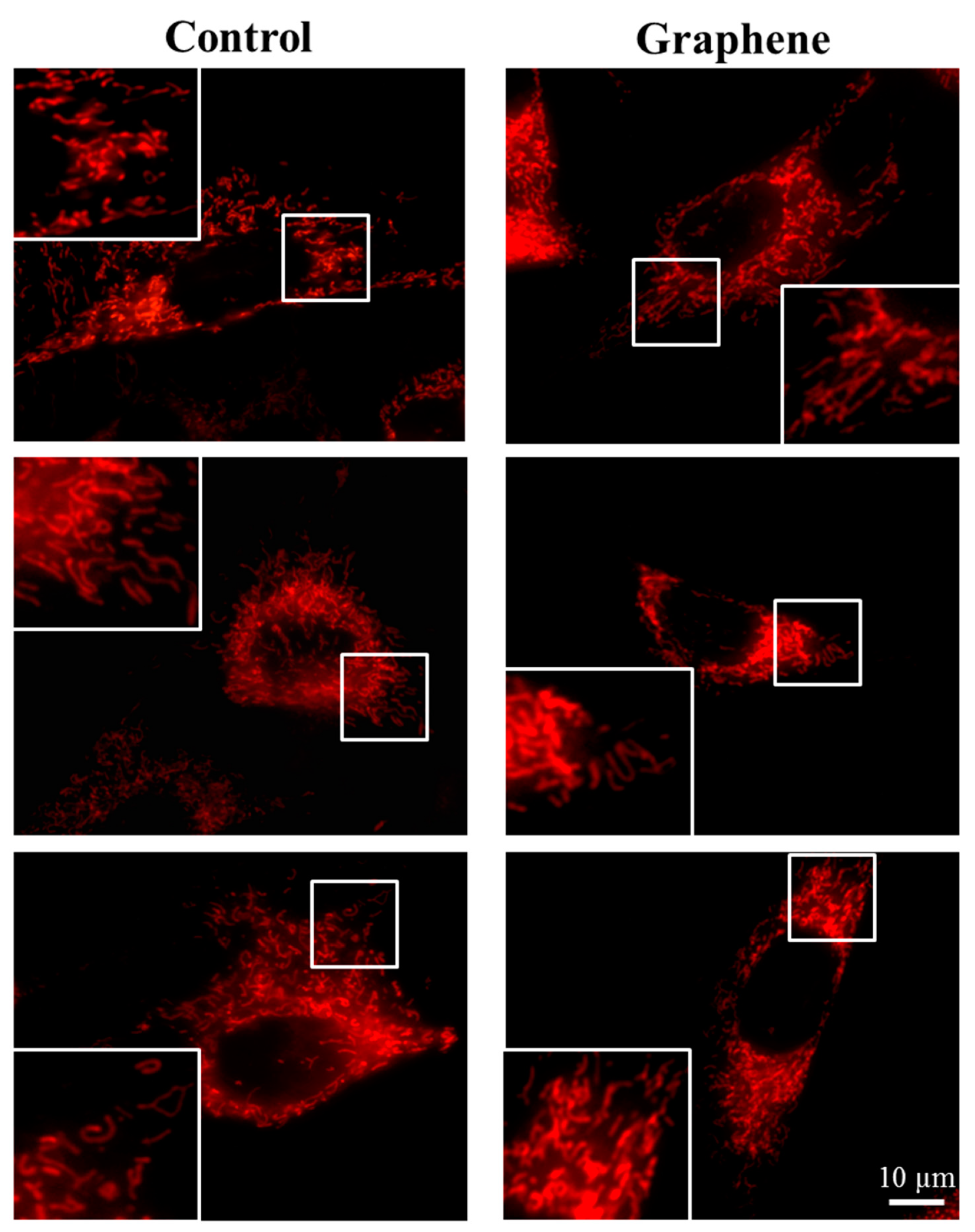 Materials 14 00643 g007b