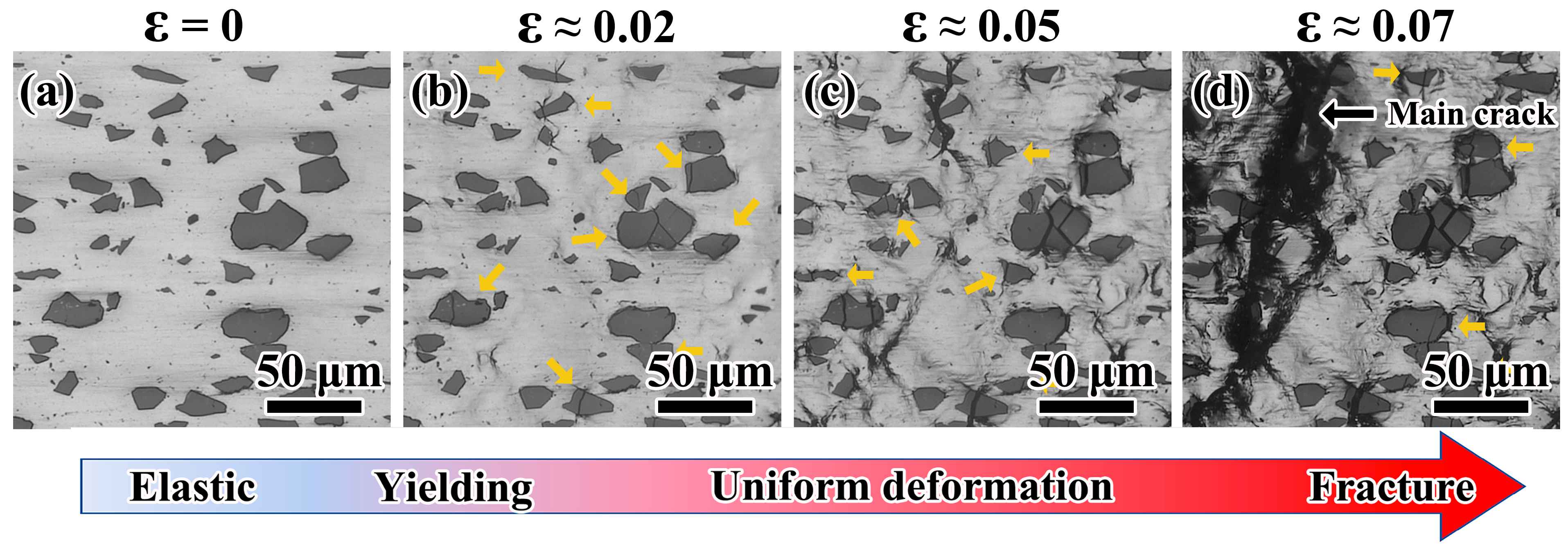 Materials 14 00675 g003