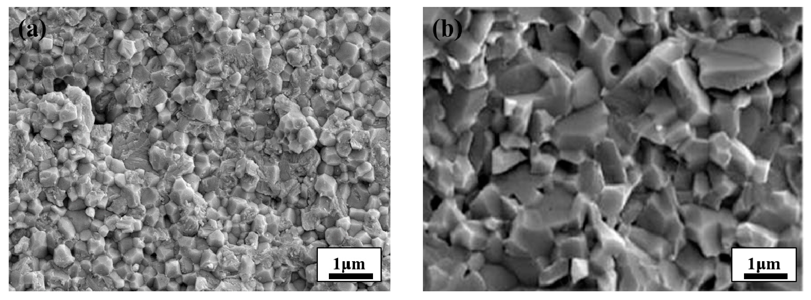 Materials 14 00721 g002