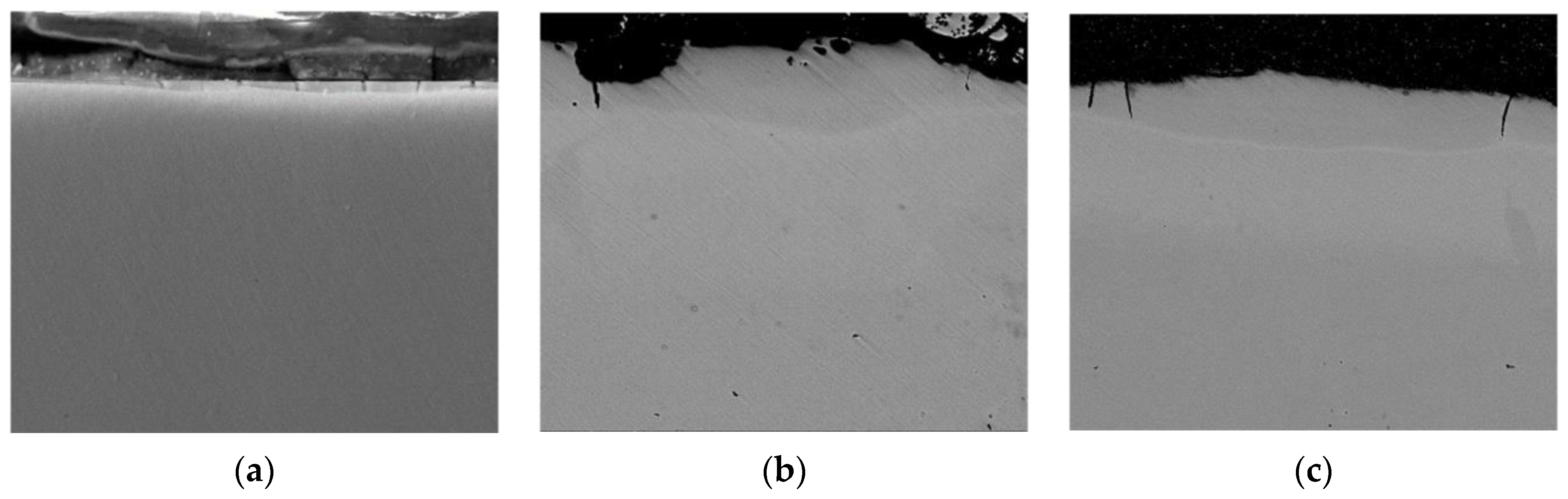 Materials 14 00739 g006