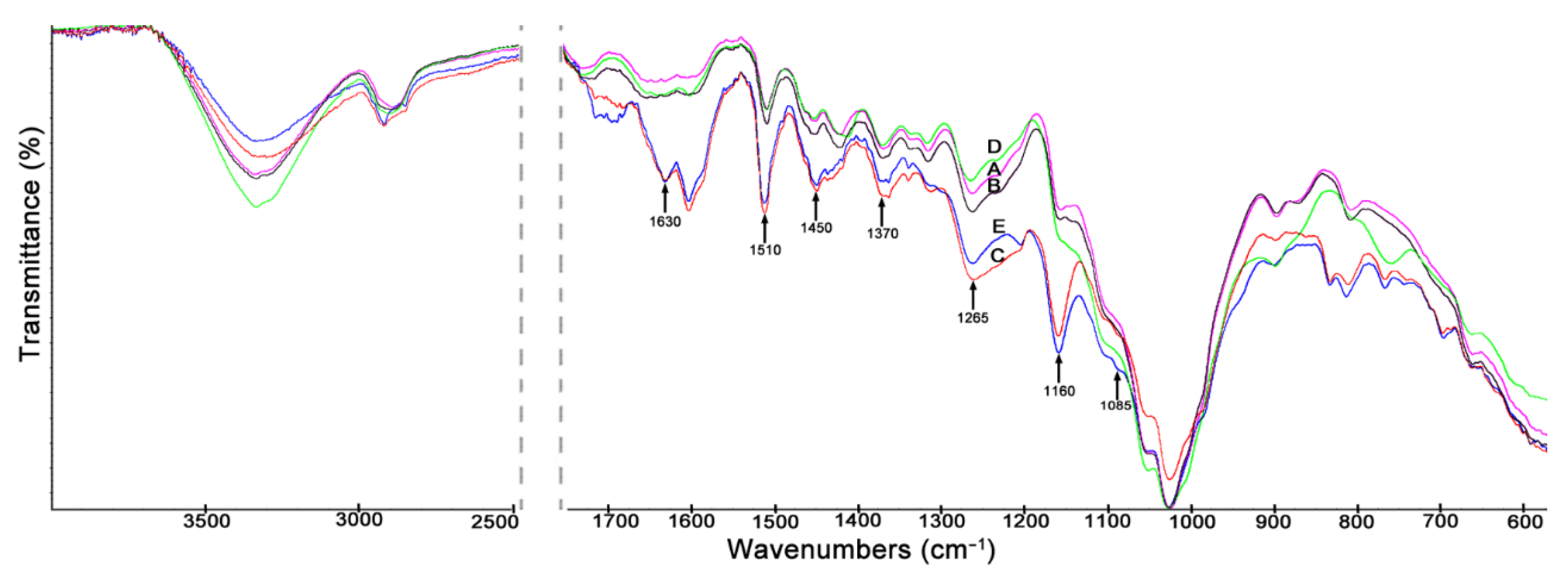 Materials 14 00819 g002