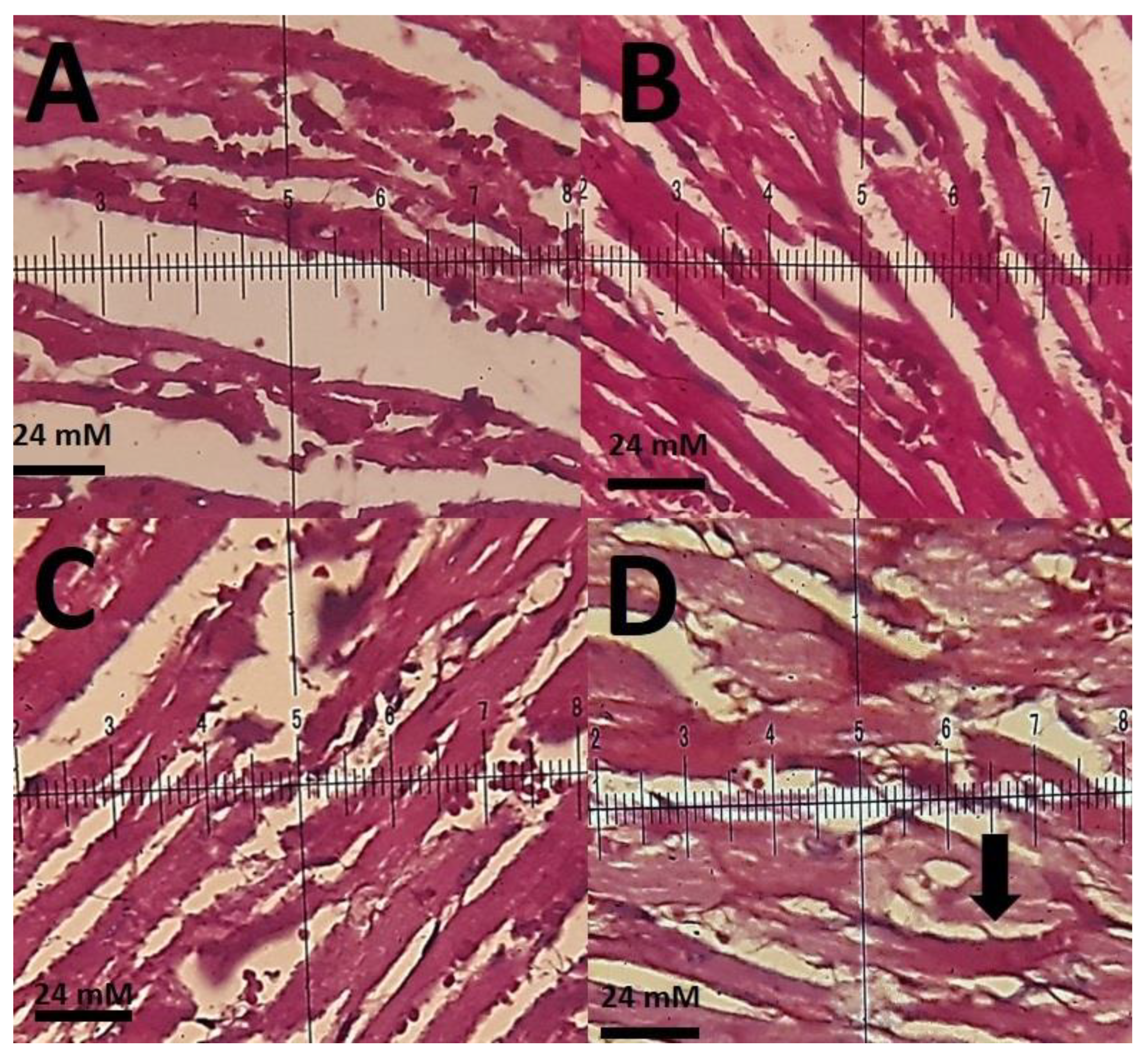 Materials 14 00825 g010
