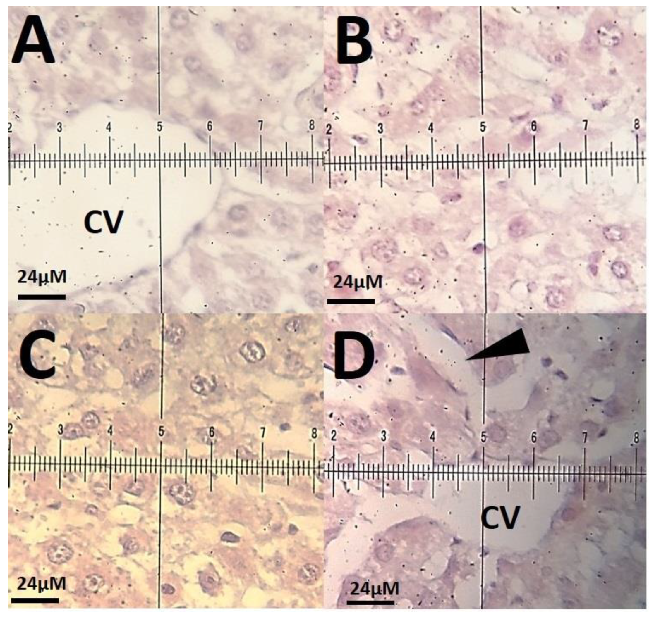 Materials 14 00825 g011