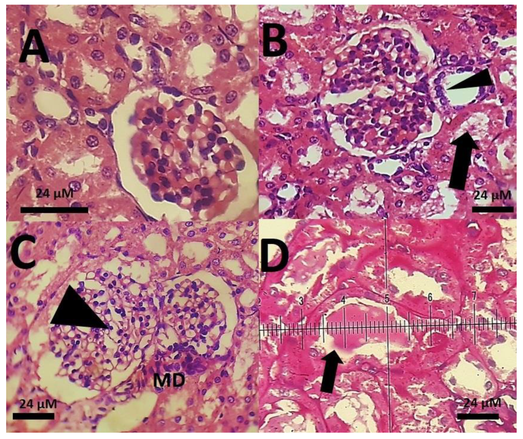Materials 14 00825 g012