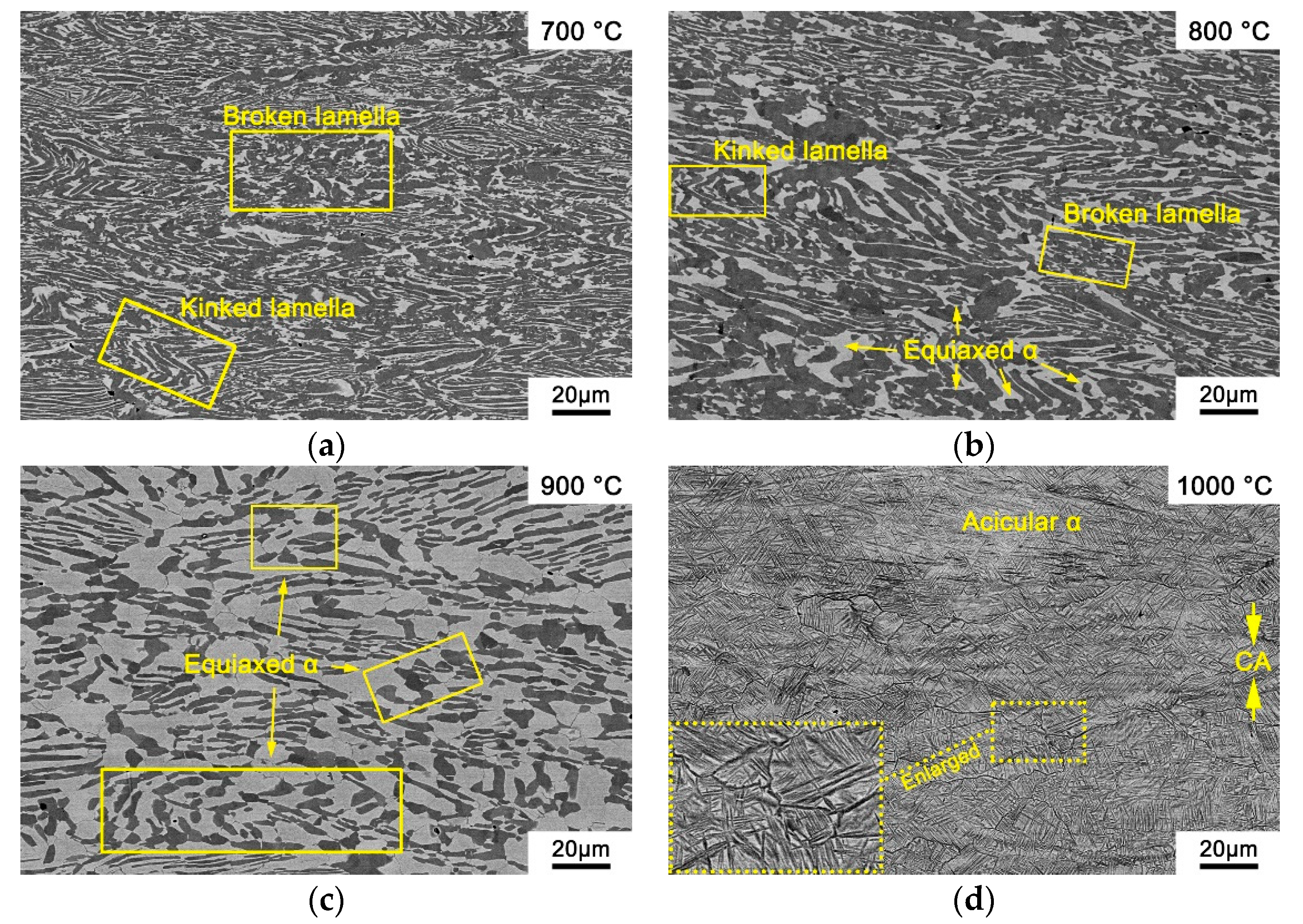 Materials 14 00836 g011