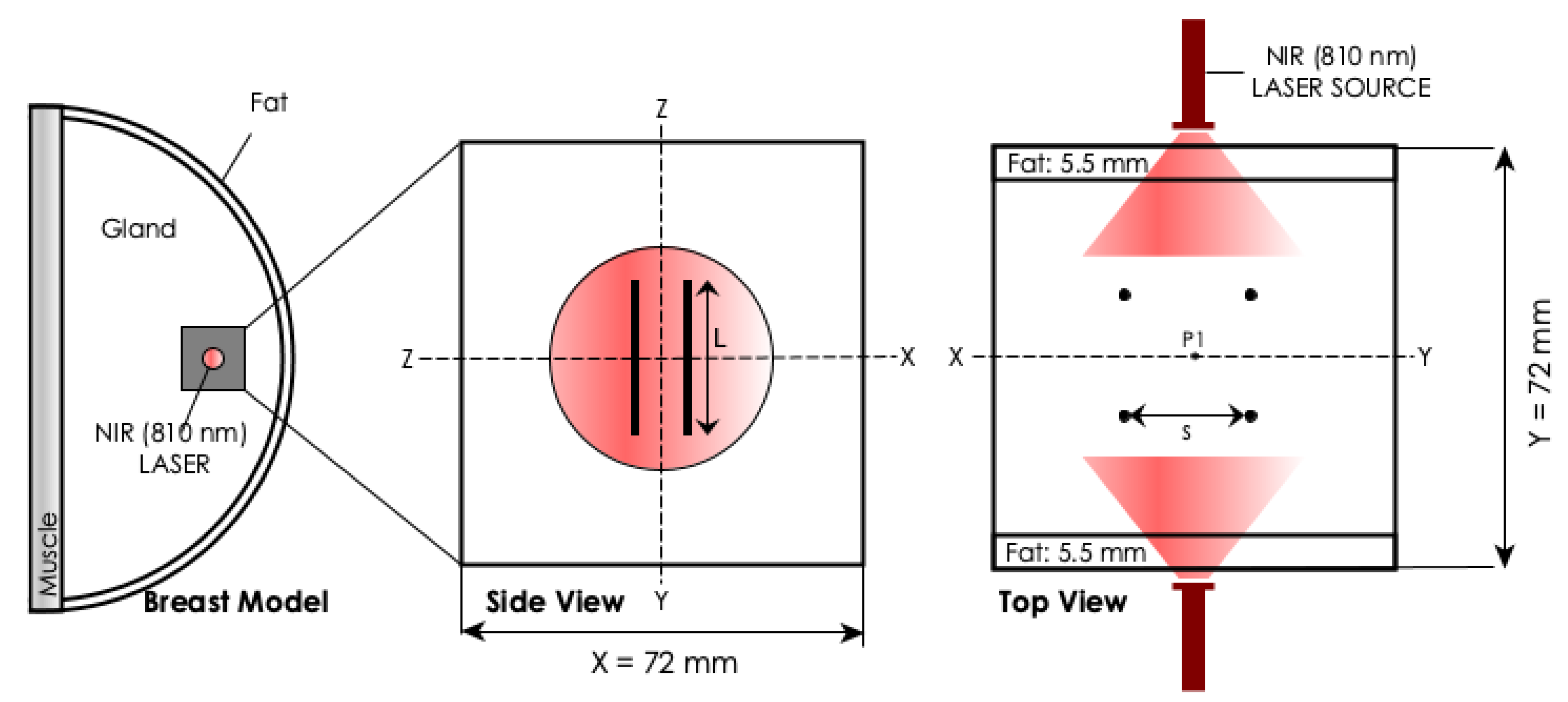 Materials 14 00841 g002