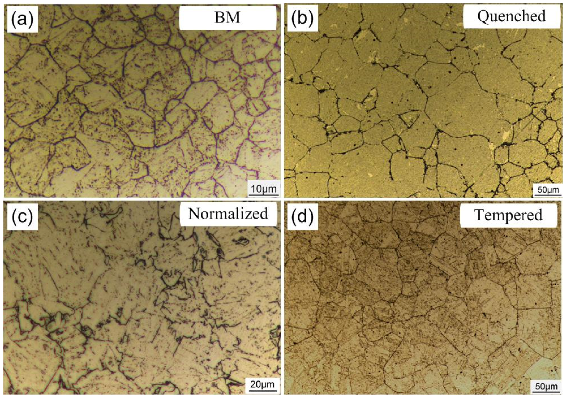 Materials 14 00851 g003 Materials 14 00851 g003