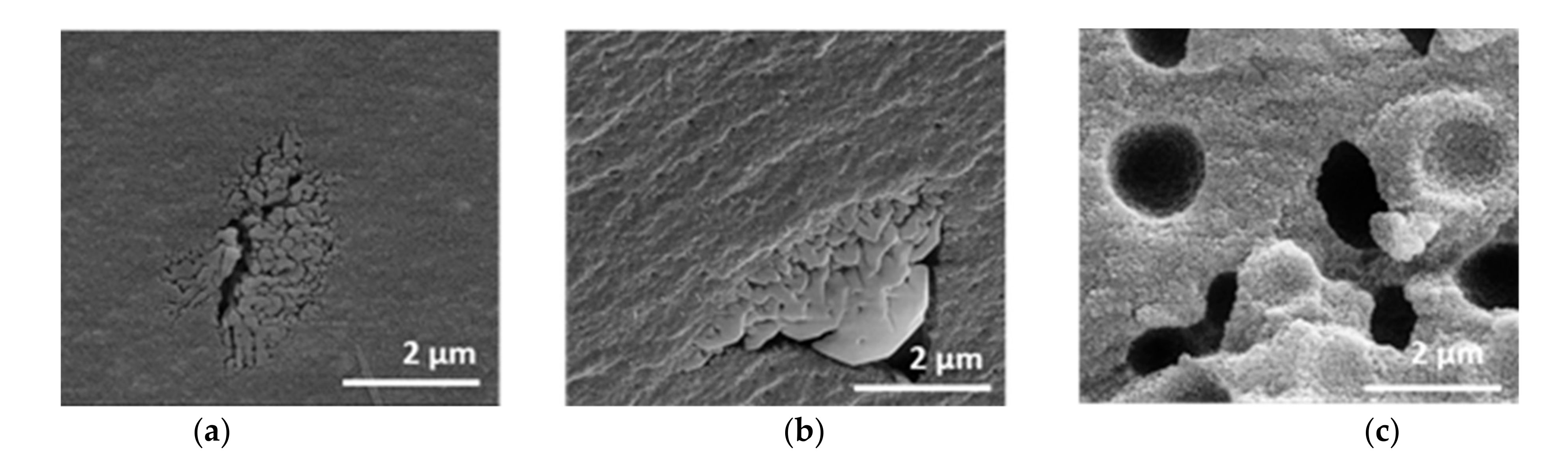Materials 14 00854 g007 Materials 14 00854 g007