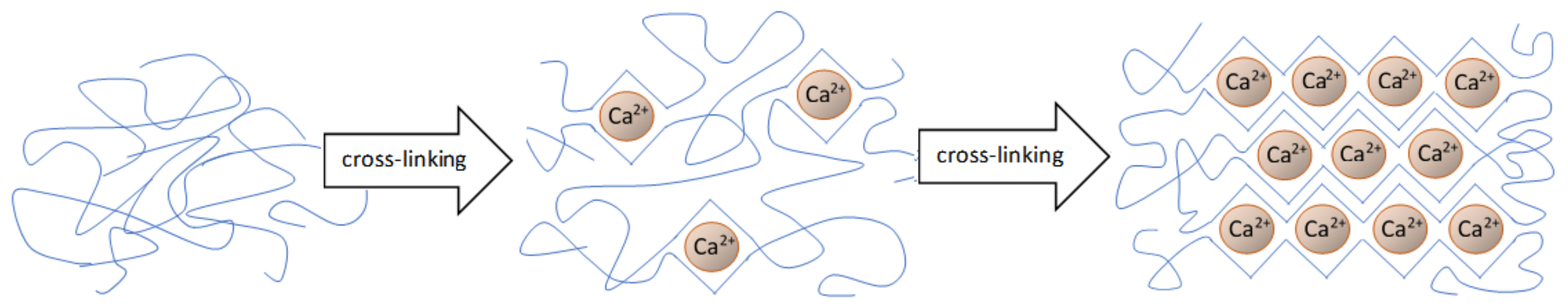 Materials 14 00858 g005