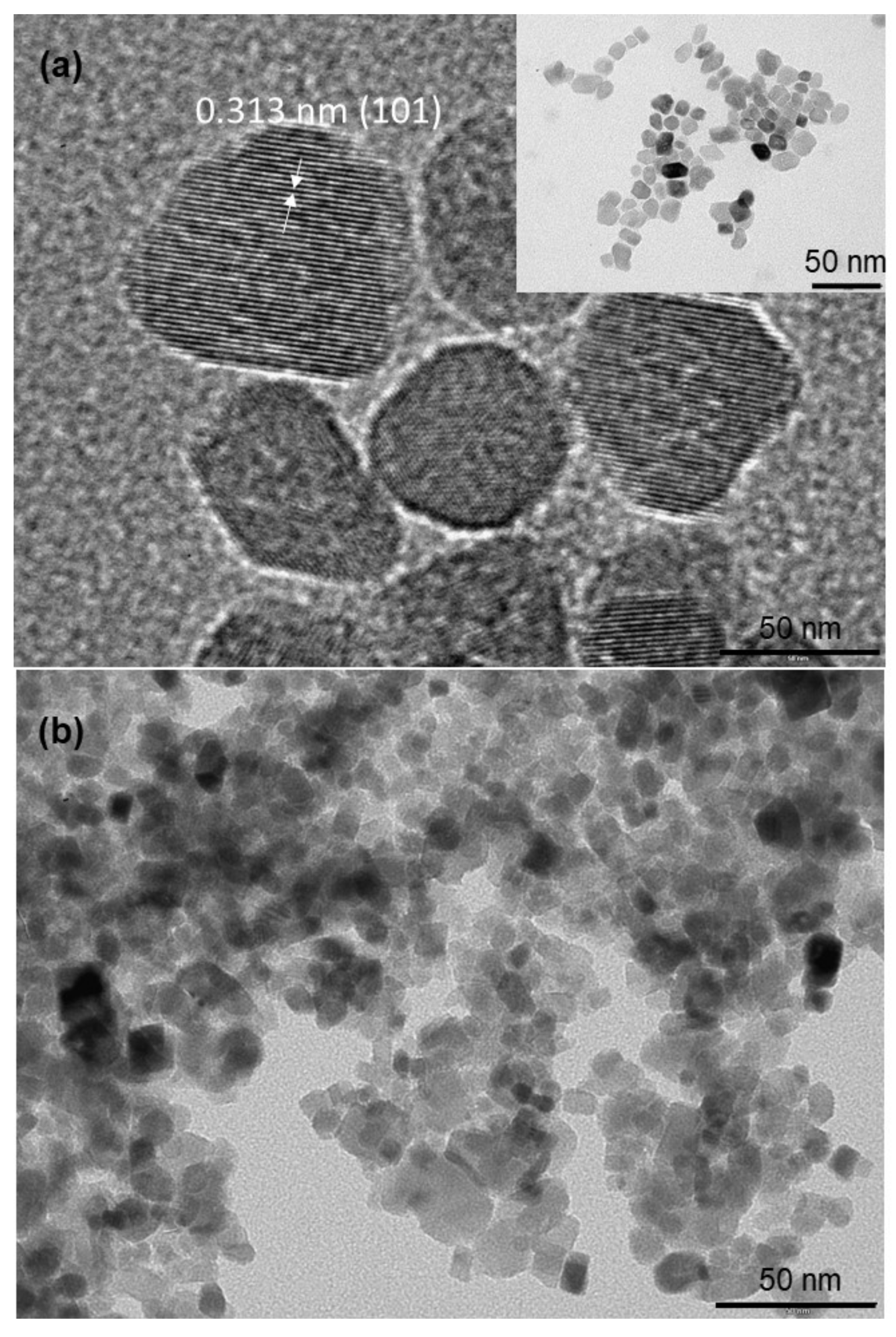 Materials 14 00916 g003 Materials 14 00916 g003