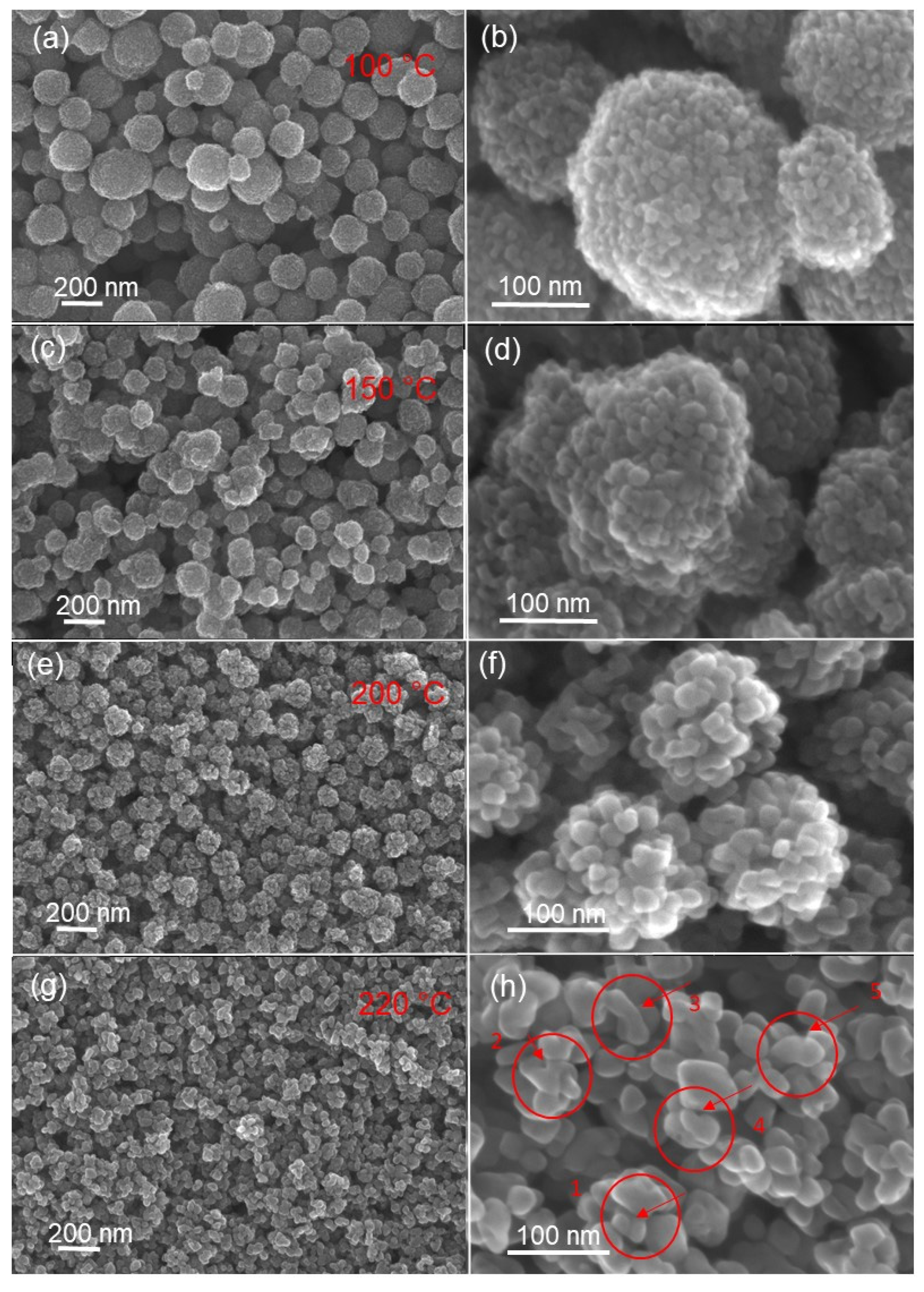 Materials 14 00916 g004 Materials 14 00916 g004