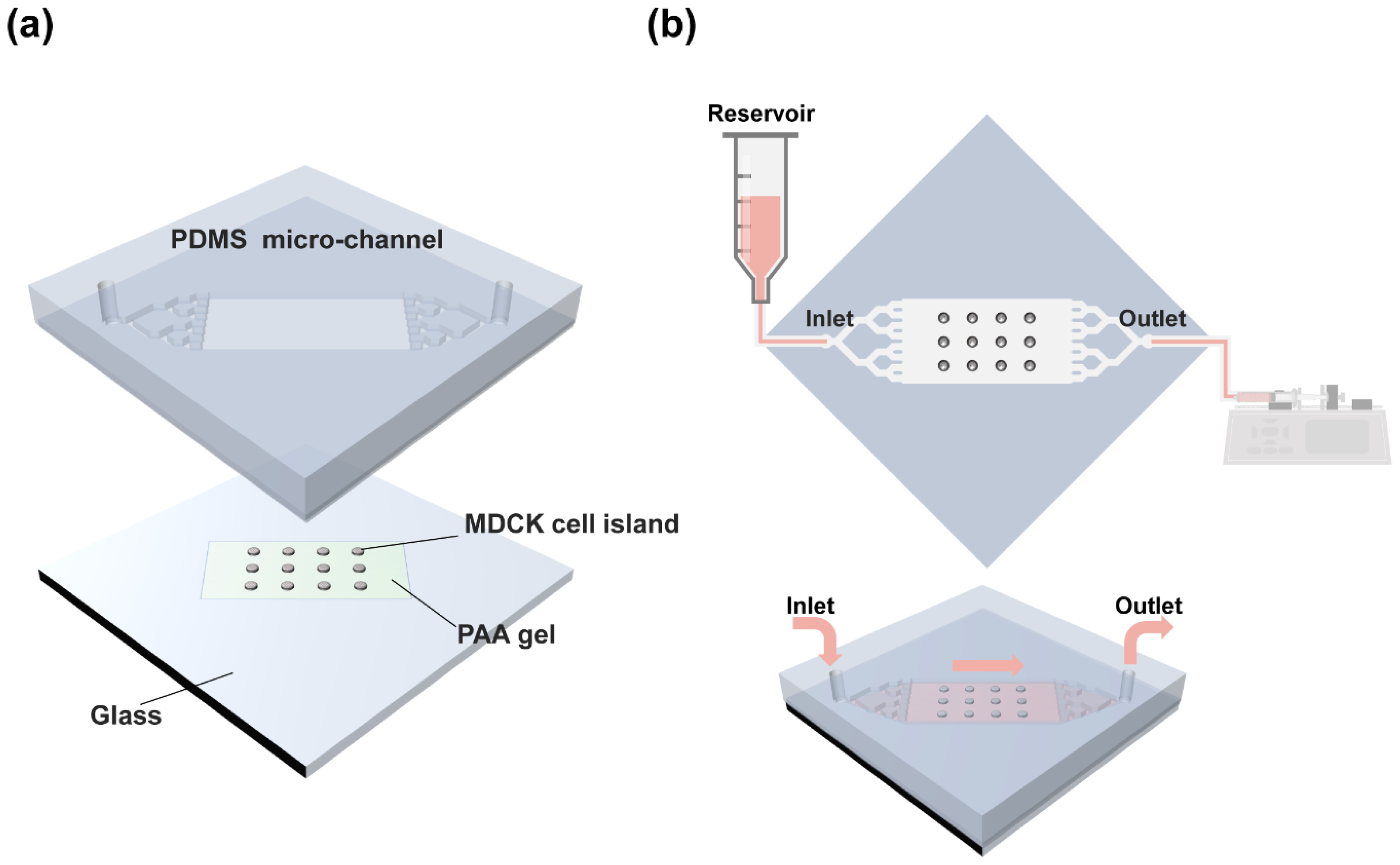 Materials 14 00935 g001 Materials 14 00935 g001