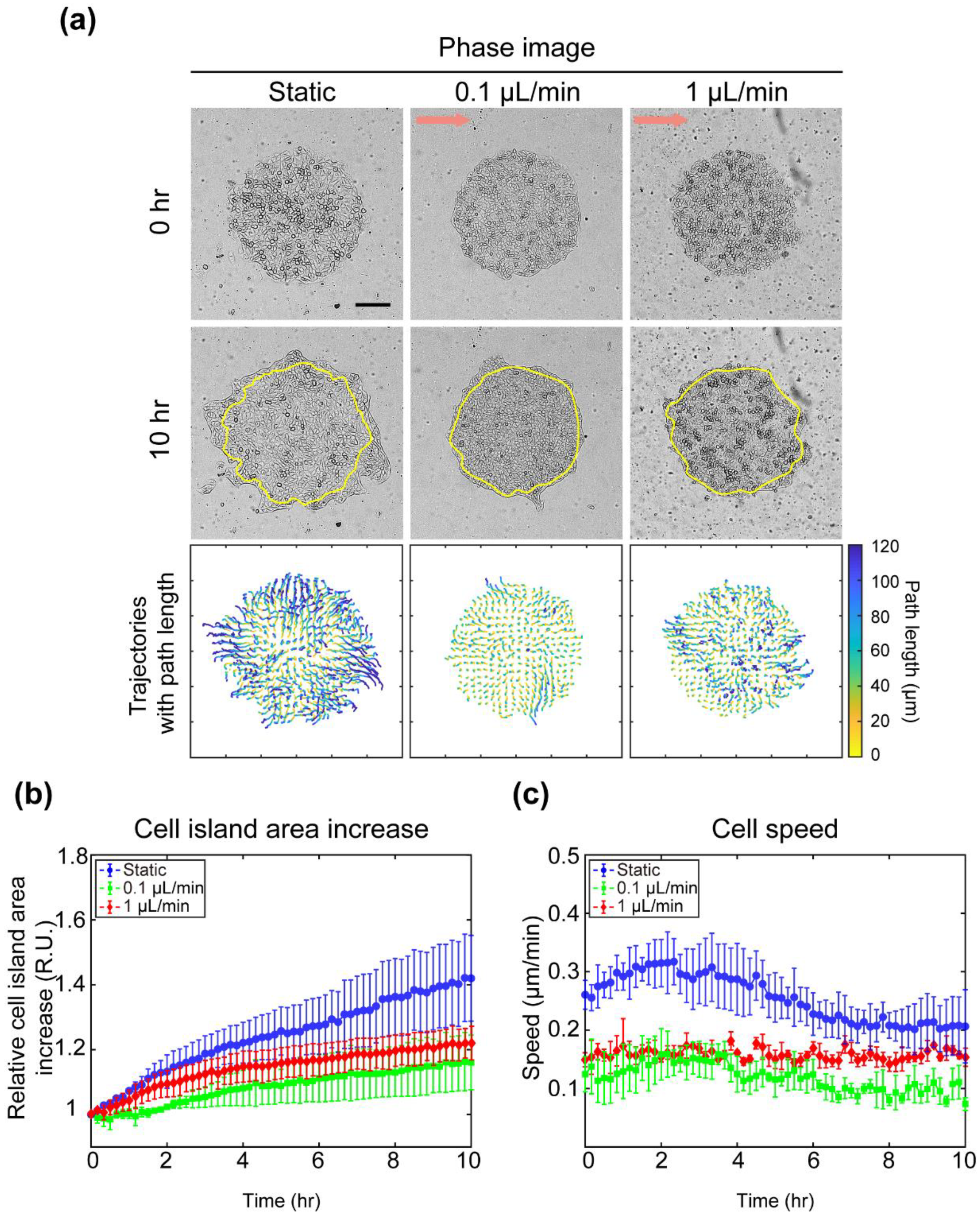 Materials 14 00935 g003 Materials 14 00935 g003