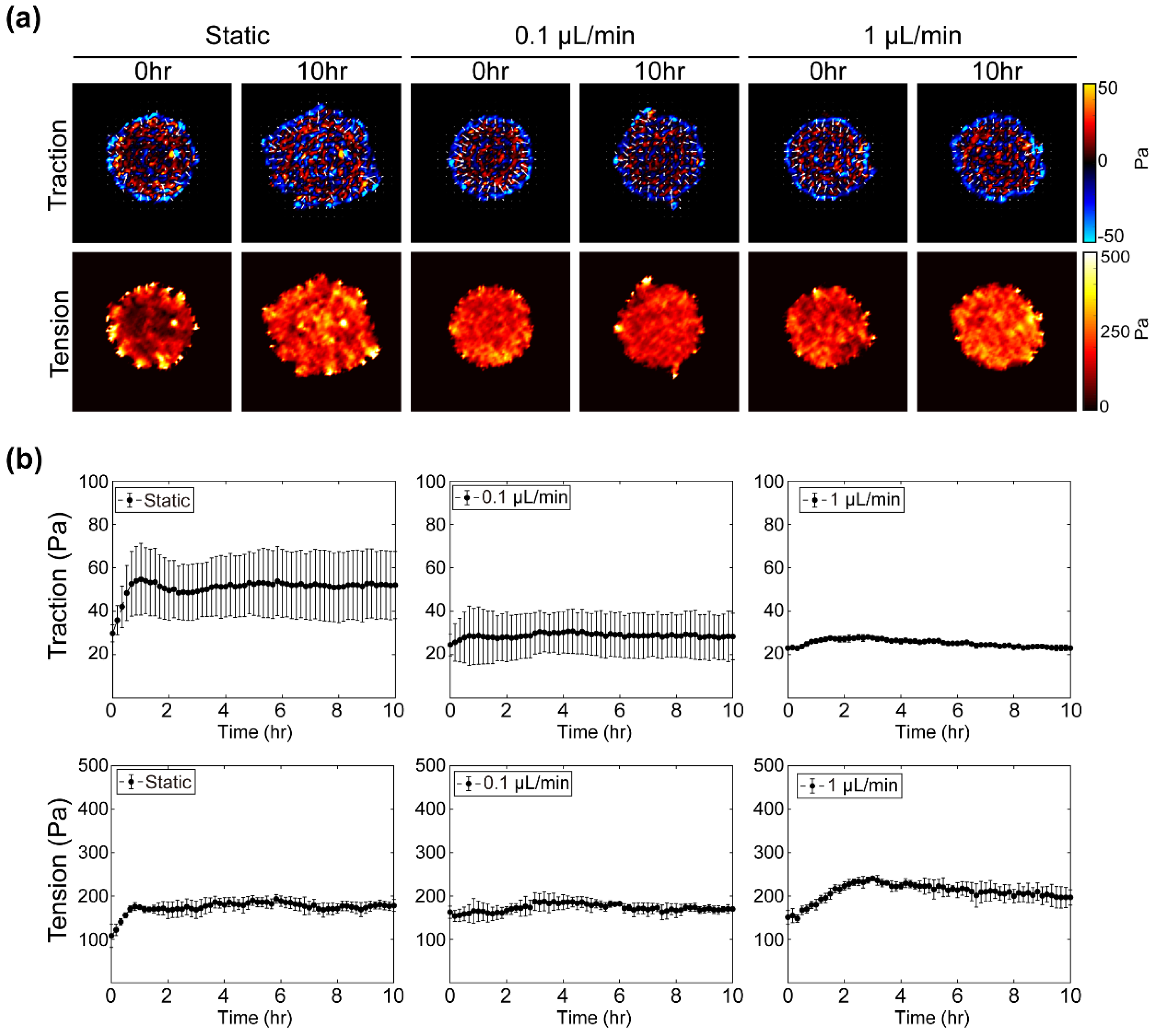 Materials 14 00935 g004 Materials 14 00935 g004