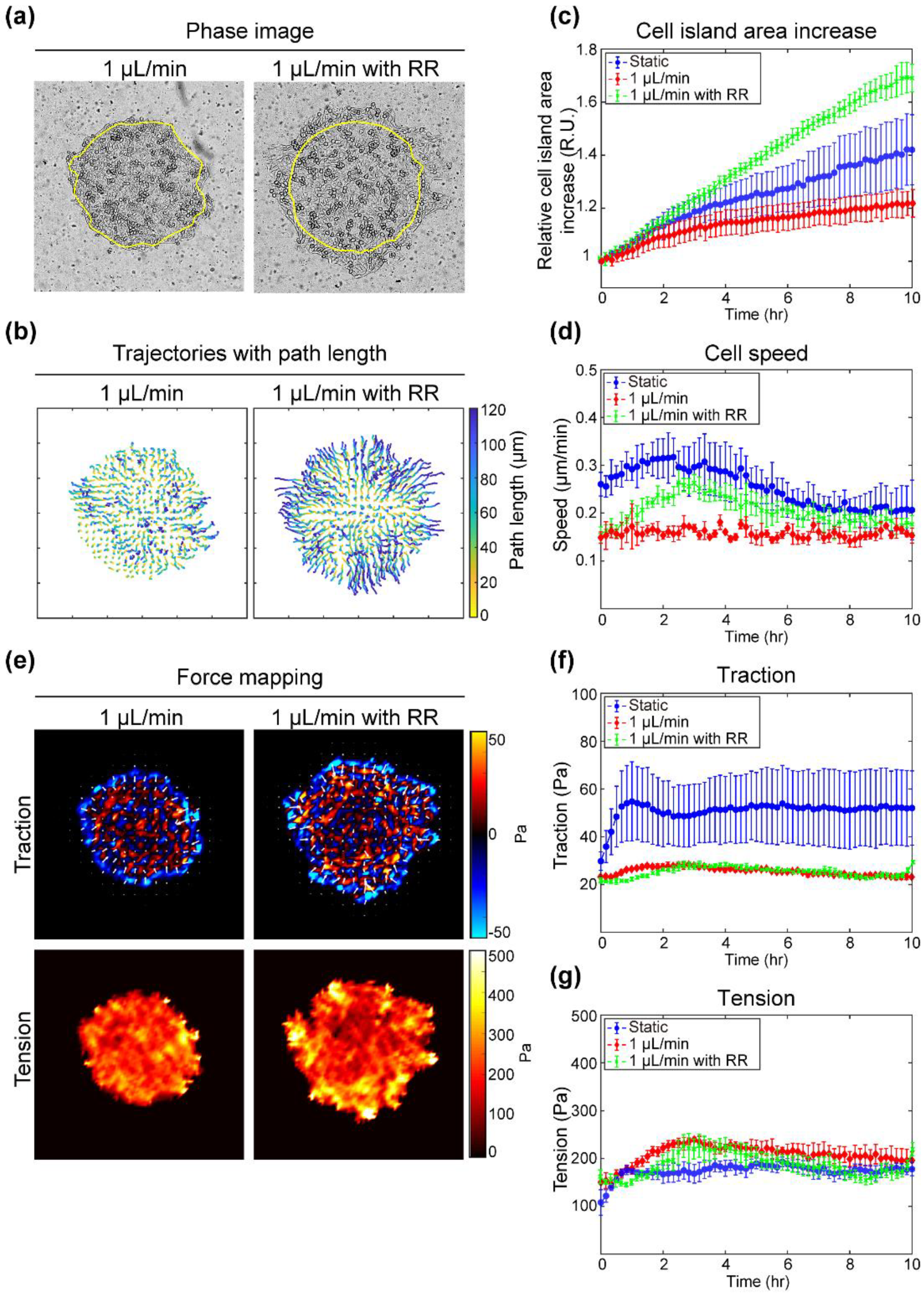 Materials 14 00935 g005 Materials 14 00935 g005