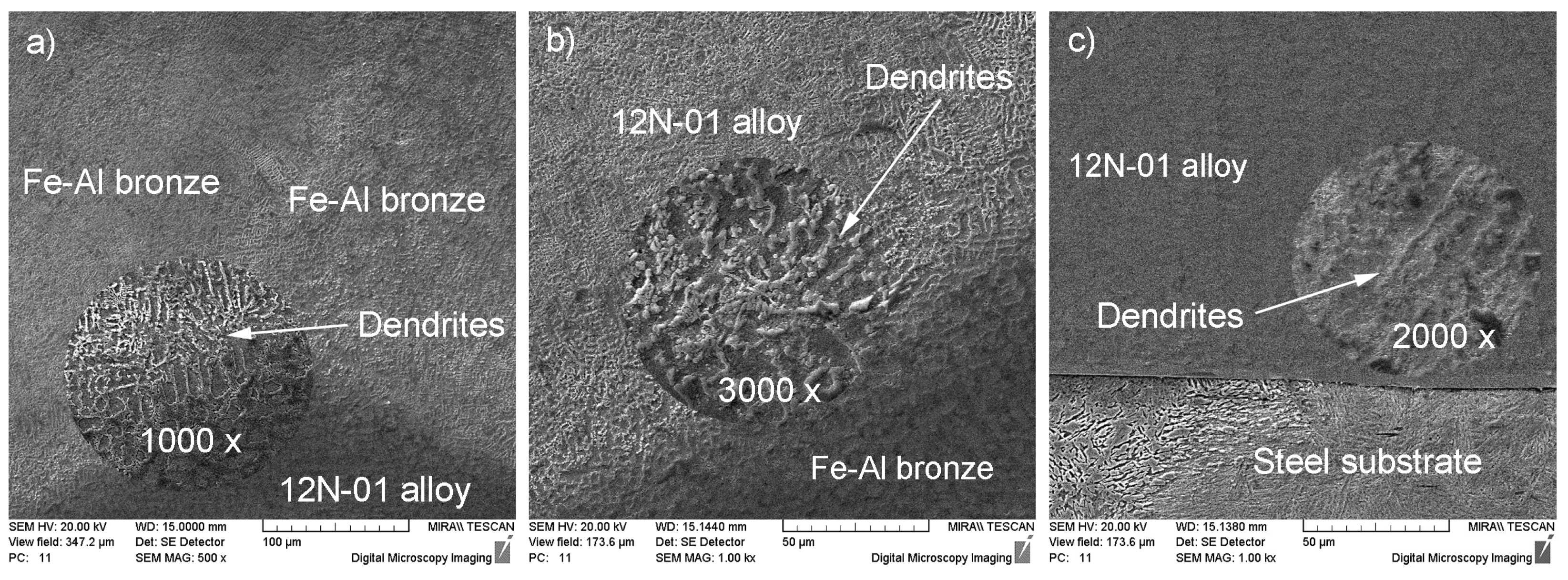 Materials 14 00957 g003 Materials 14 00957 g003
