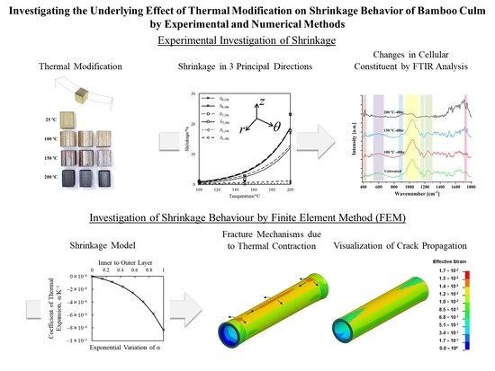 Materials Free Full Text Investigating The Underlying Effect Of Thermal Modification On Shrinkage Behavior Of Bamboo Culm By Experimental And Numerical Methods Html