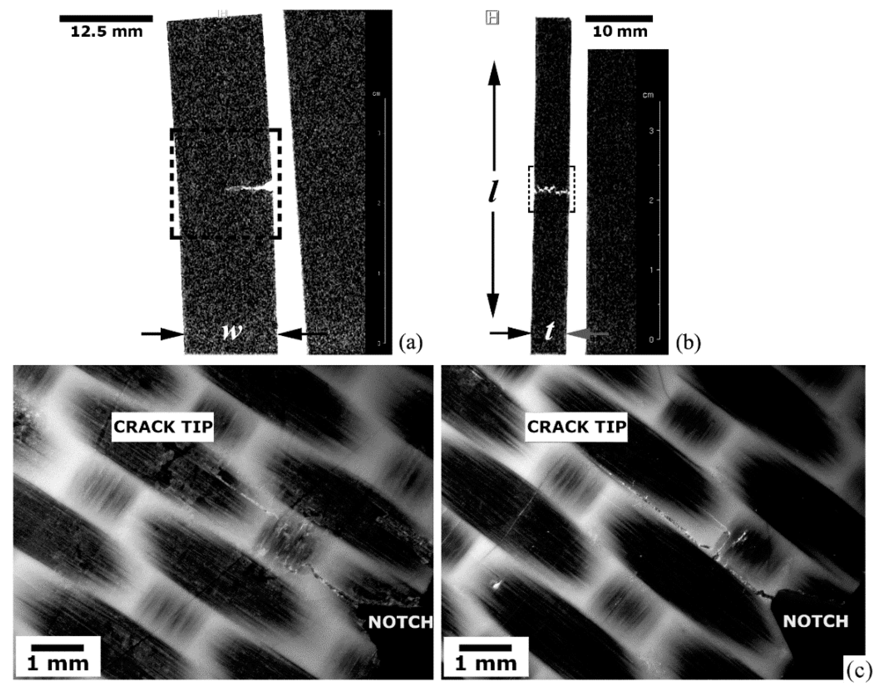 Materials 14 00977 g008 Materials 14 00977 g008