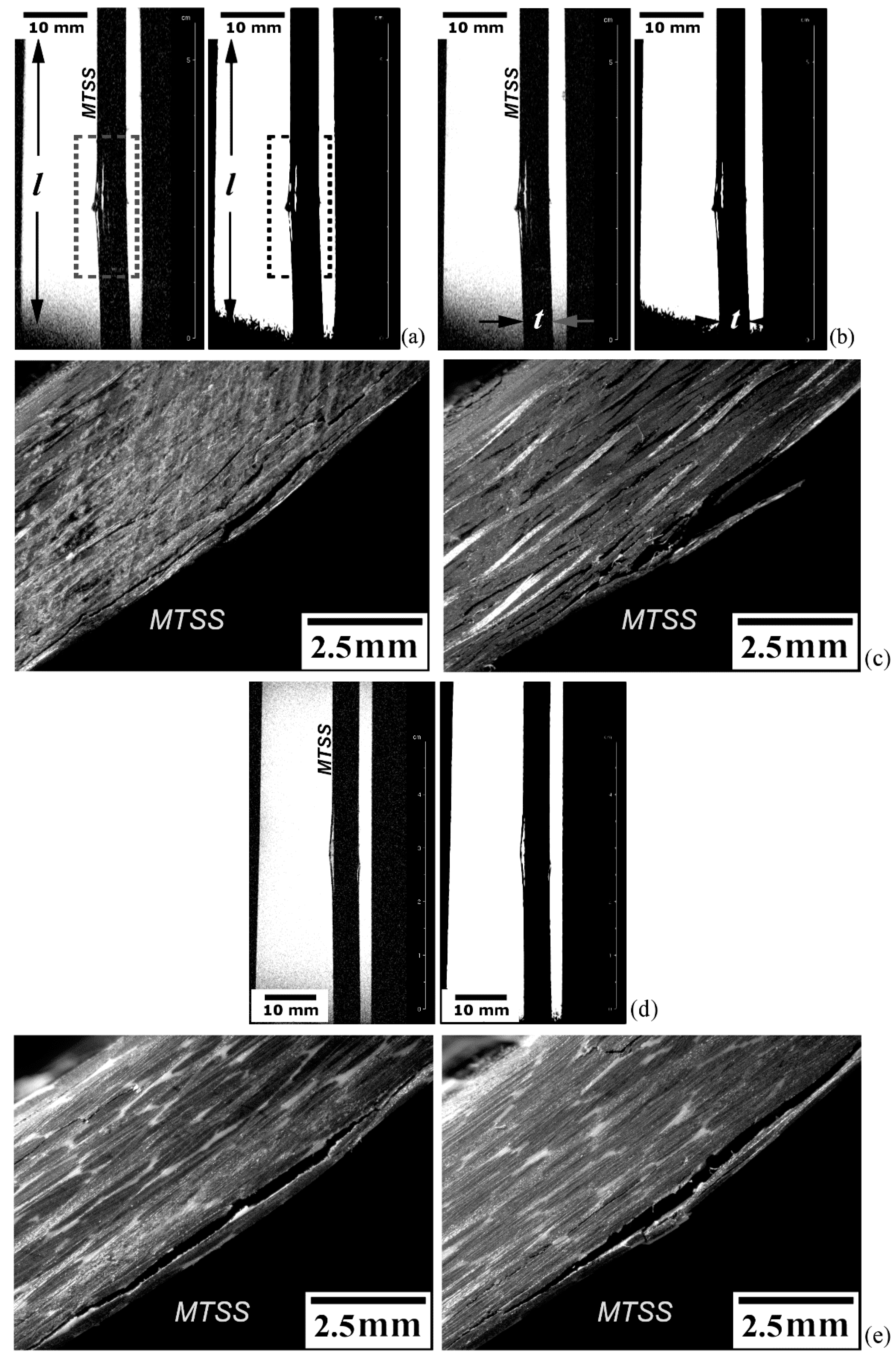 Materials 14 00977 g009 Materials 14 00977 g009