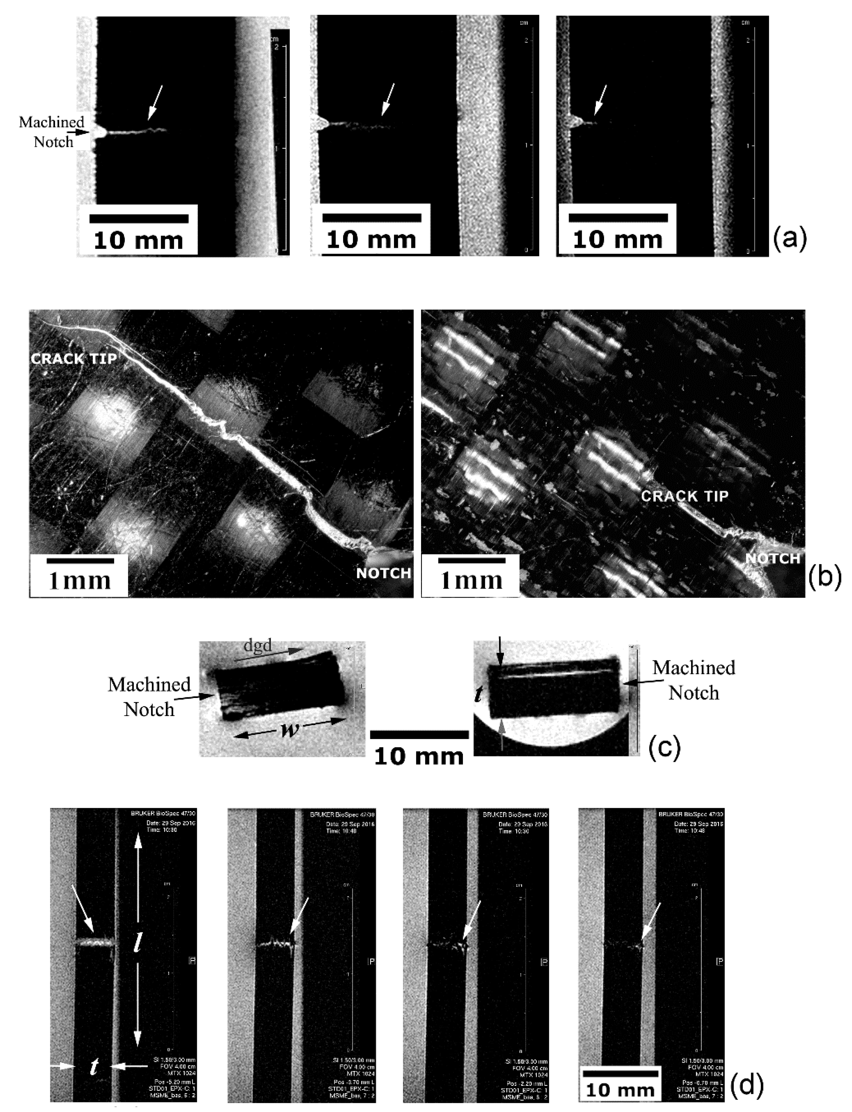 Materials 14 00977 g010 Materials 14 00977 g010