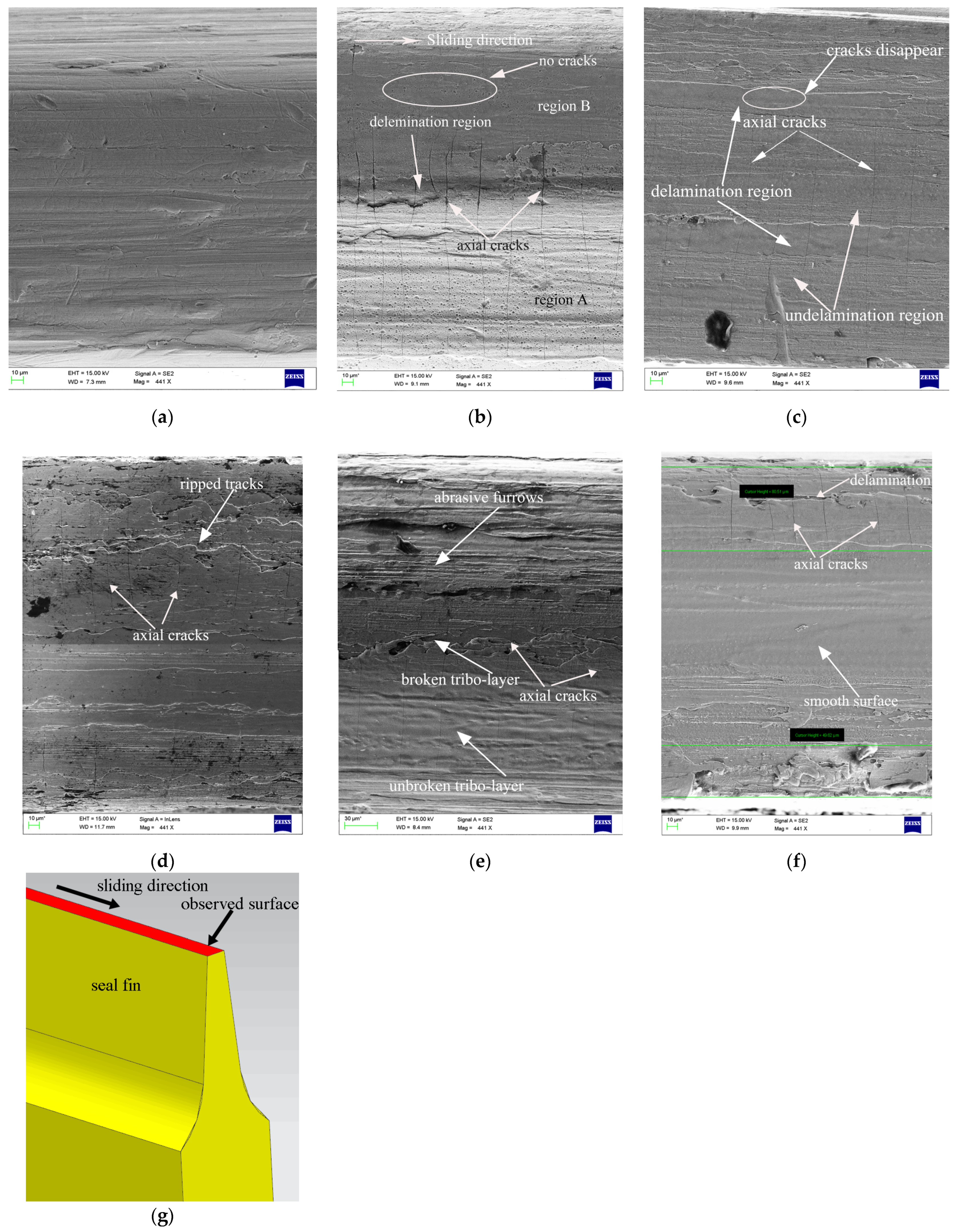 Materials 14 00979 g006