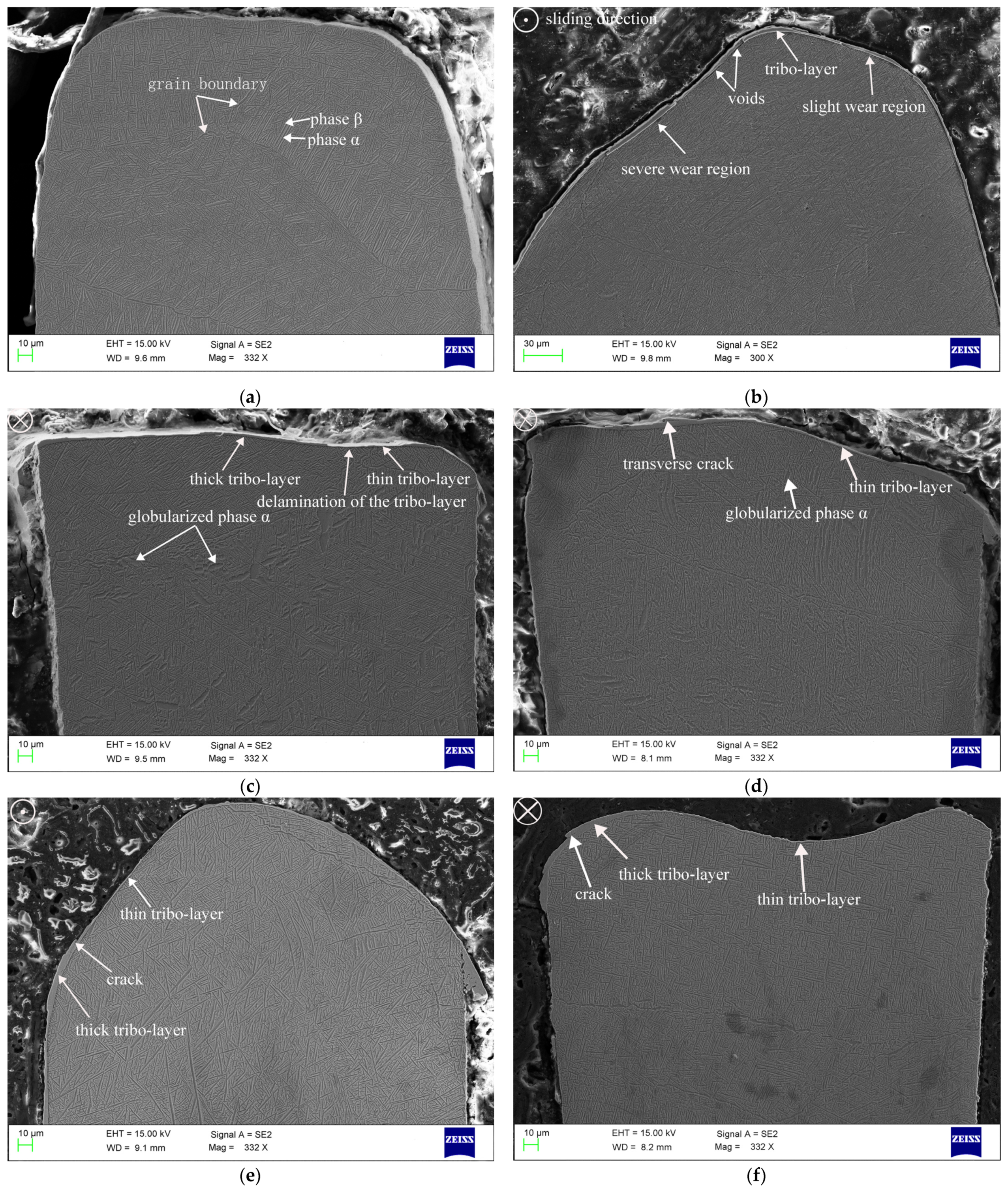 Materials 14 00979 g007a
