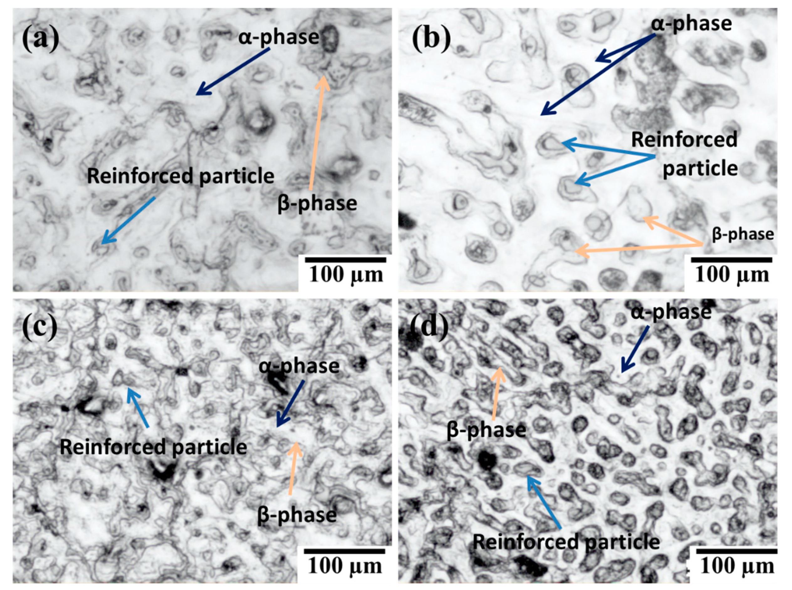 Materials 14 00990 g006