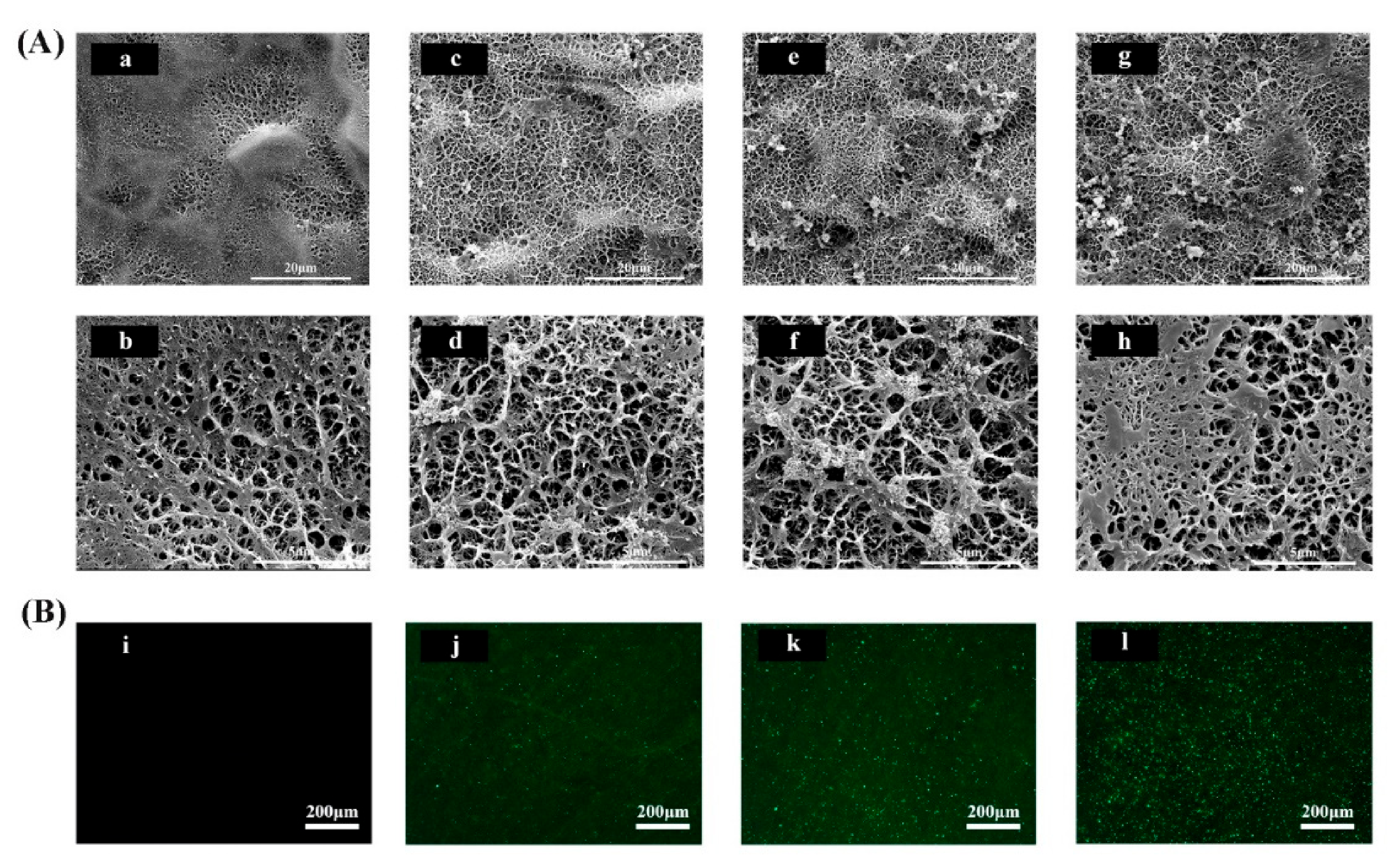 Materials 14 00992 g001 Materials 14 00992 g001