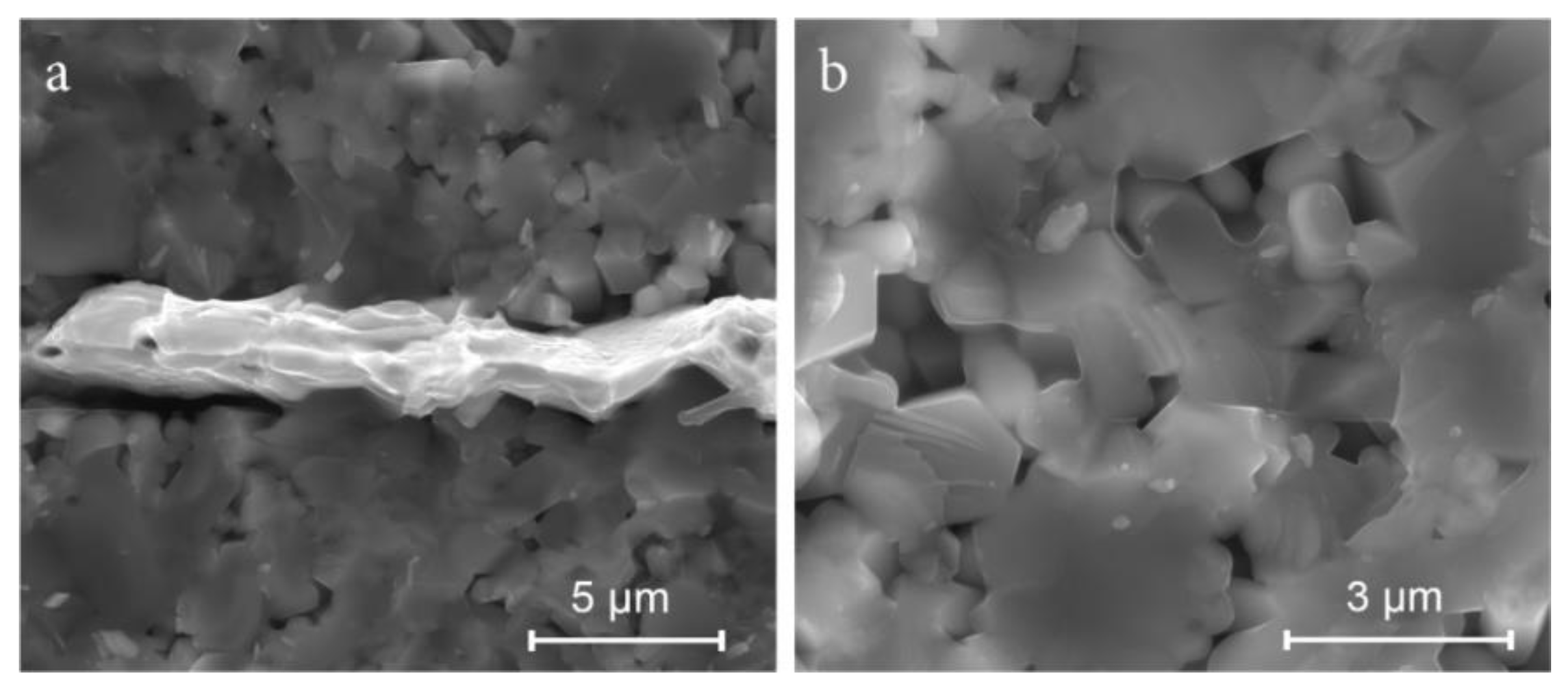 Materials 14 01014 g006 Materials 14 01014 g006