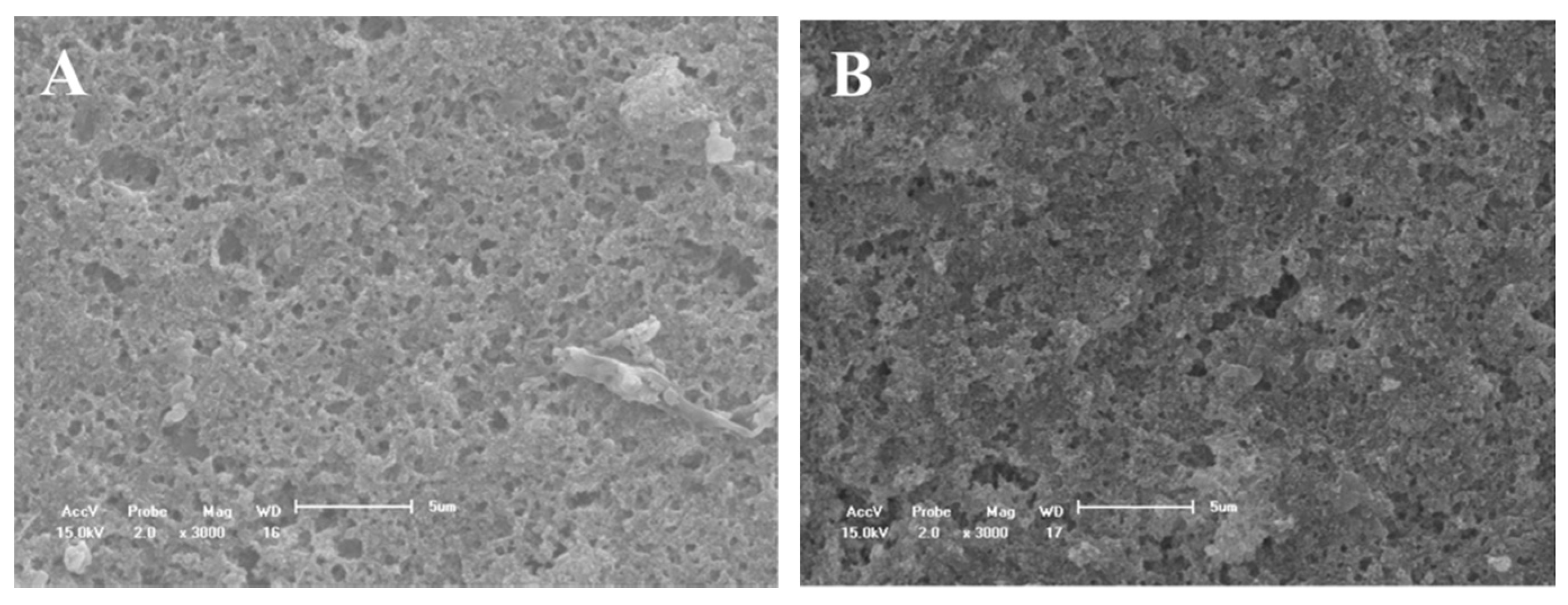 Materials 14 01056 g004