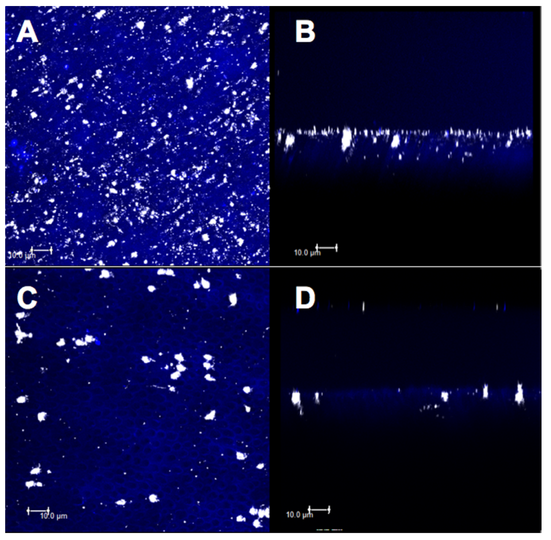Materials 14 01056 g007