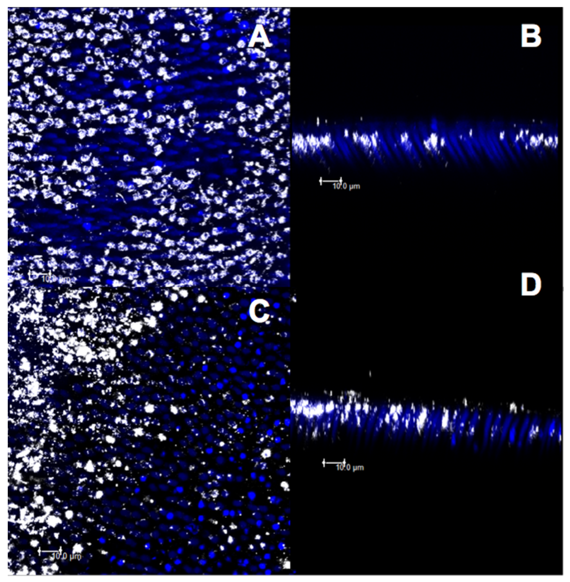 Materials 14 01056 g008