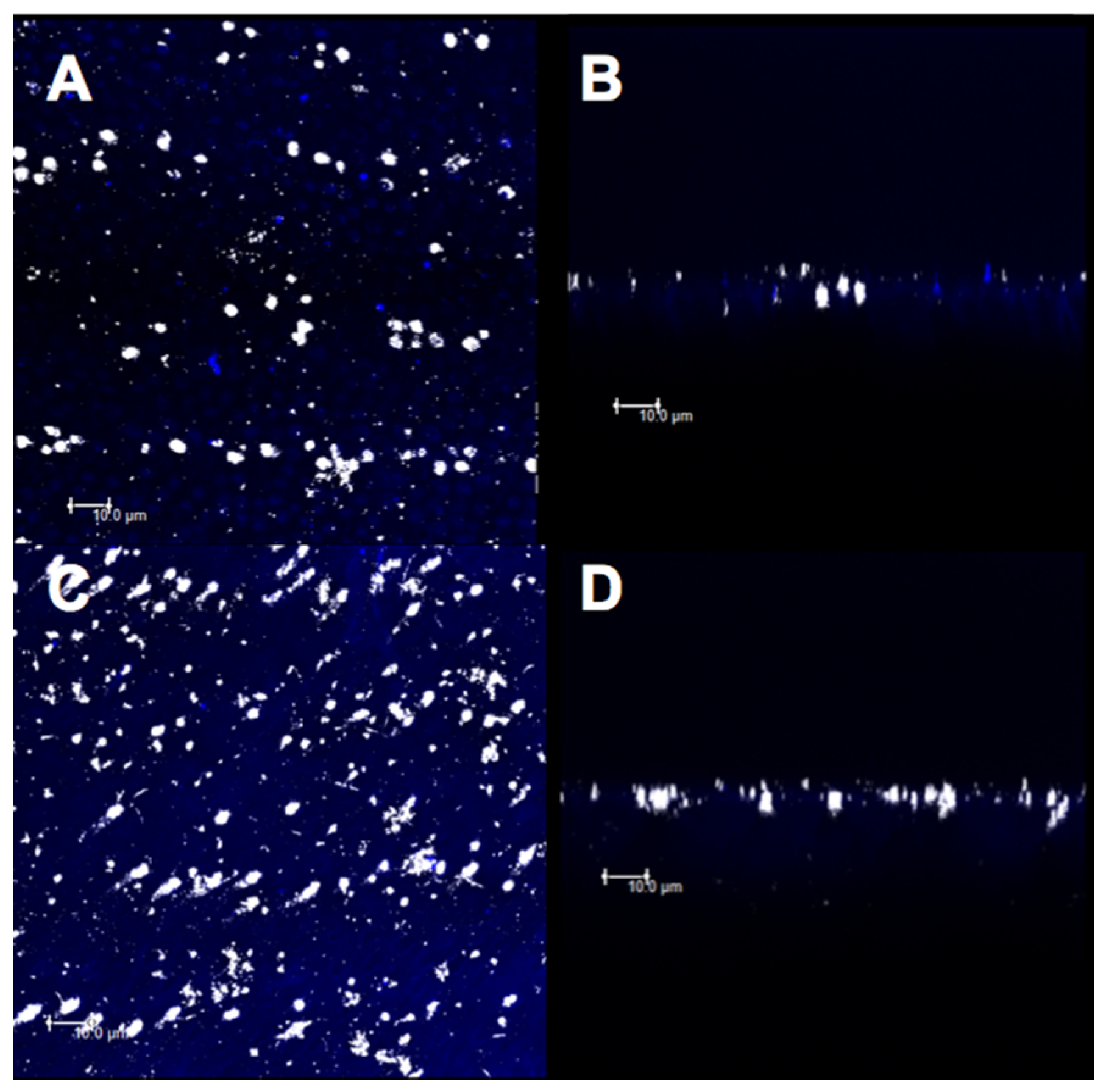 Materials 14 01056 g010