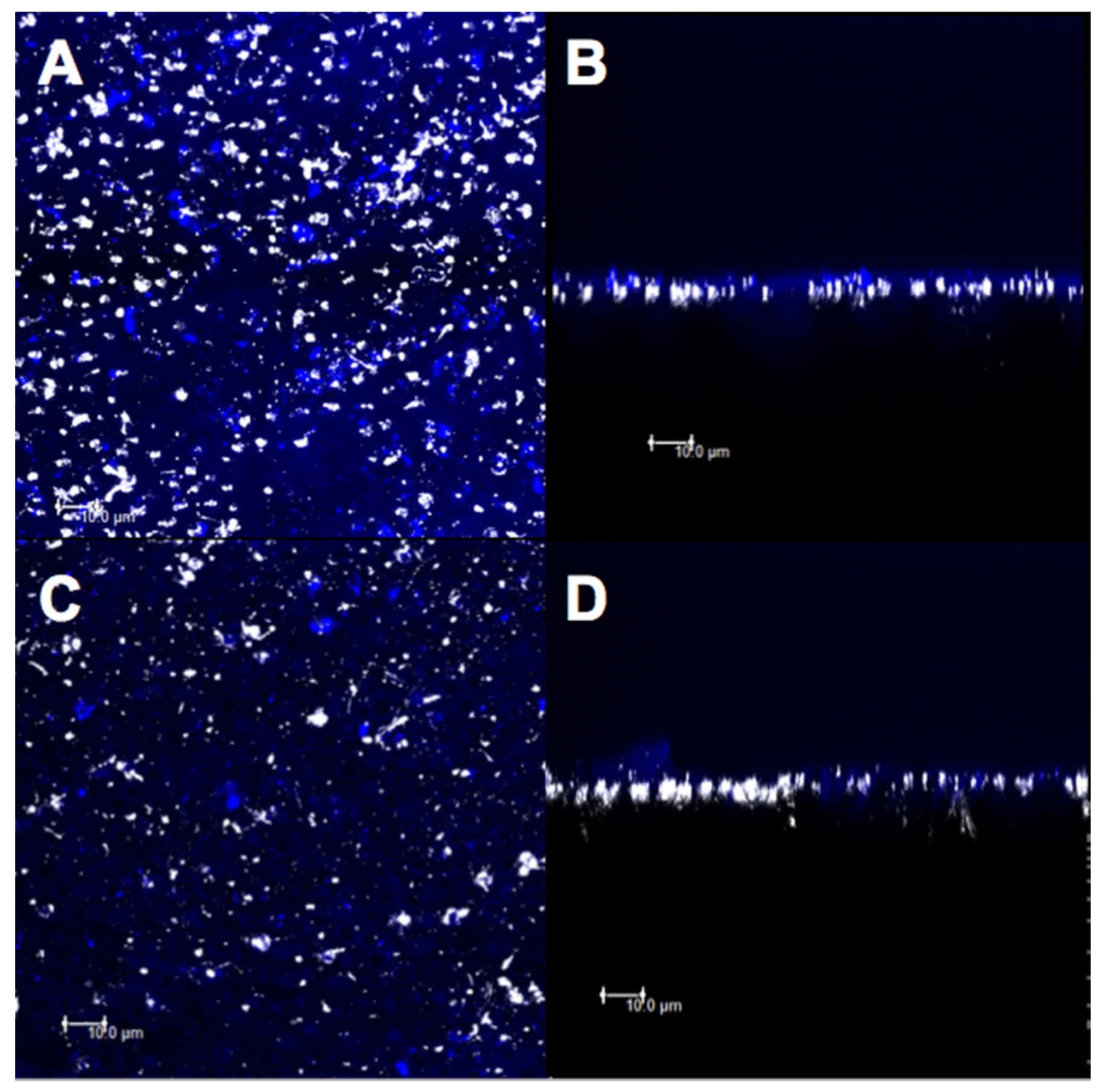 Materials 14 01056 g011