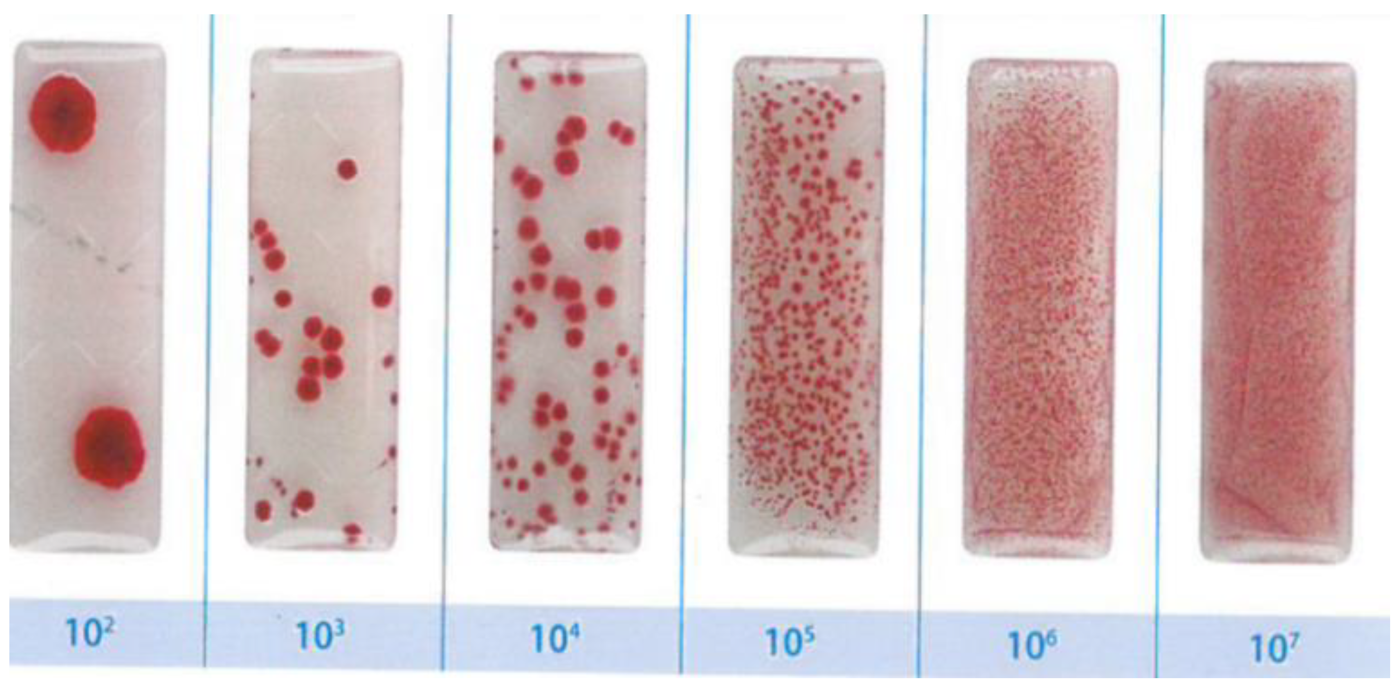 Materials 14 01074 g001