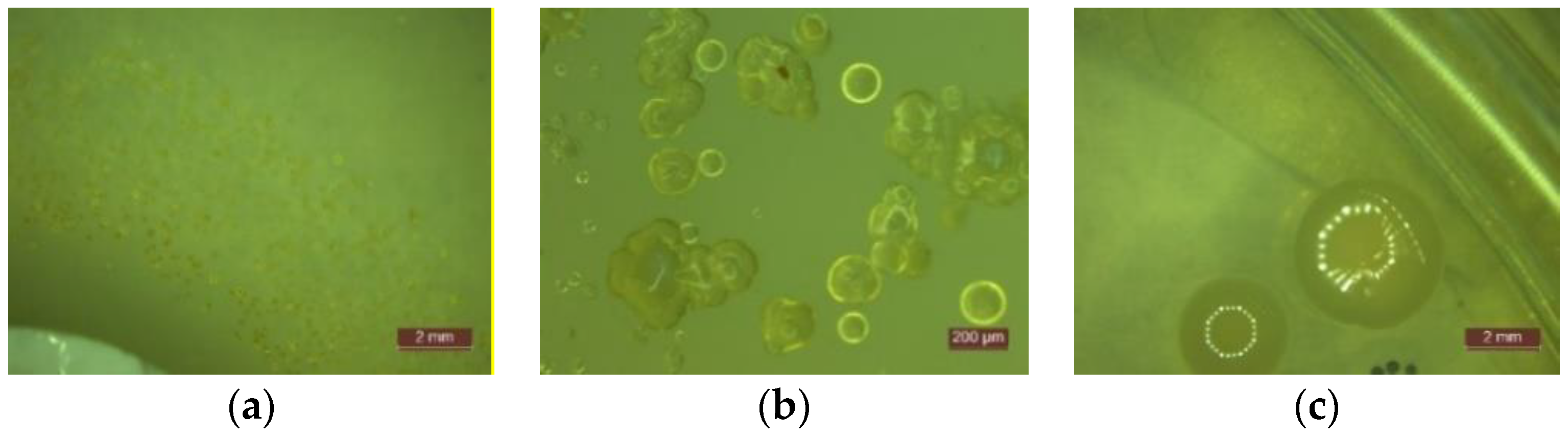 Materials 14 01074 g002