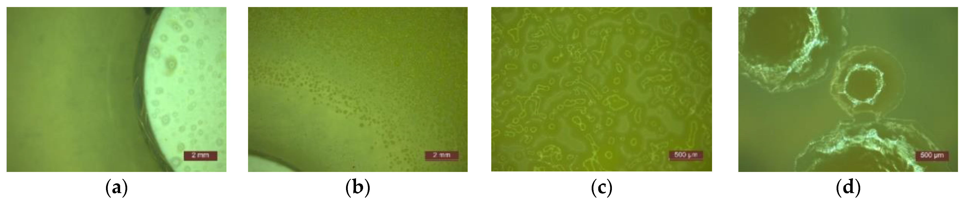 Materials 14 01074 g004