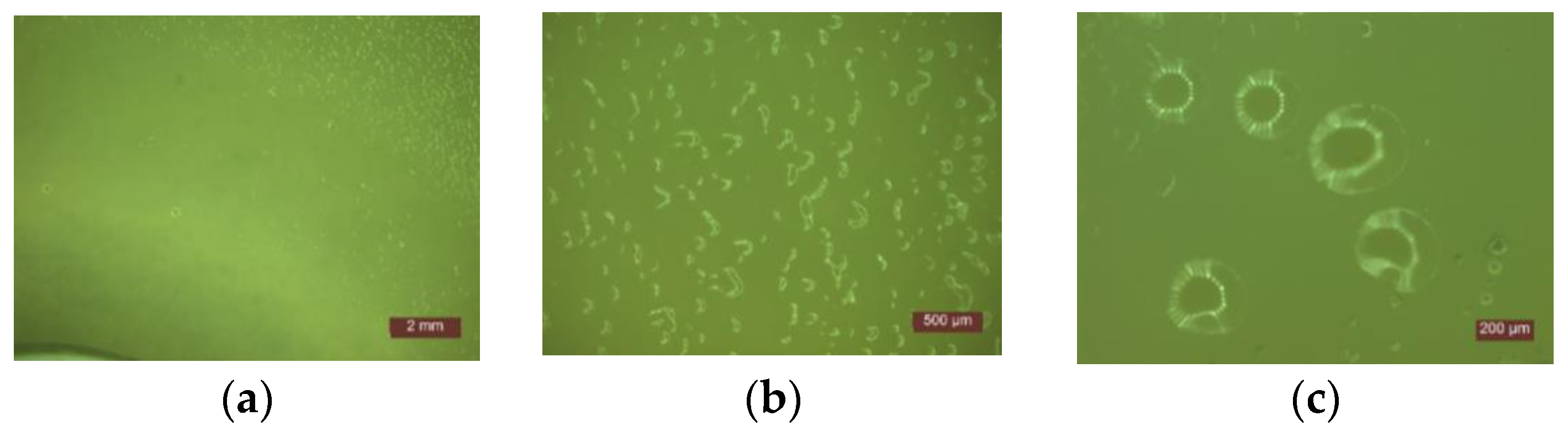 Materials 14 01074 g005