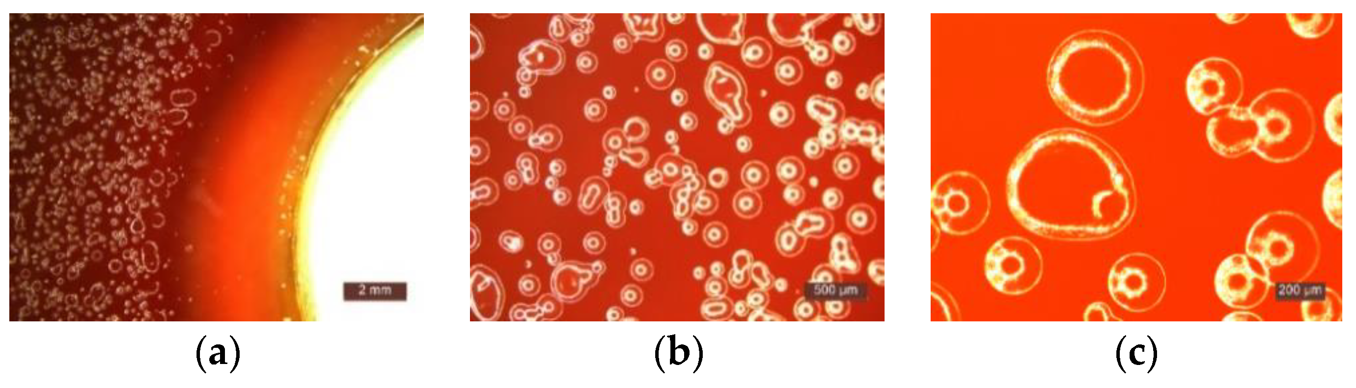 Materials 14 01074 g006